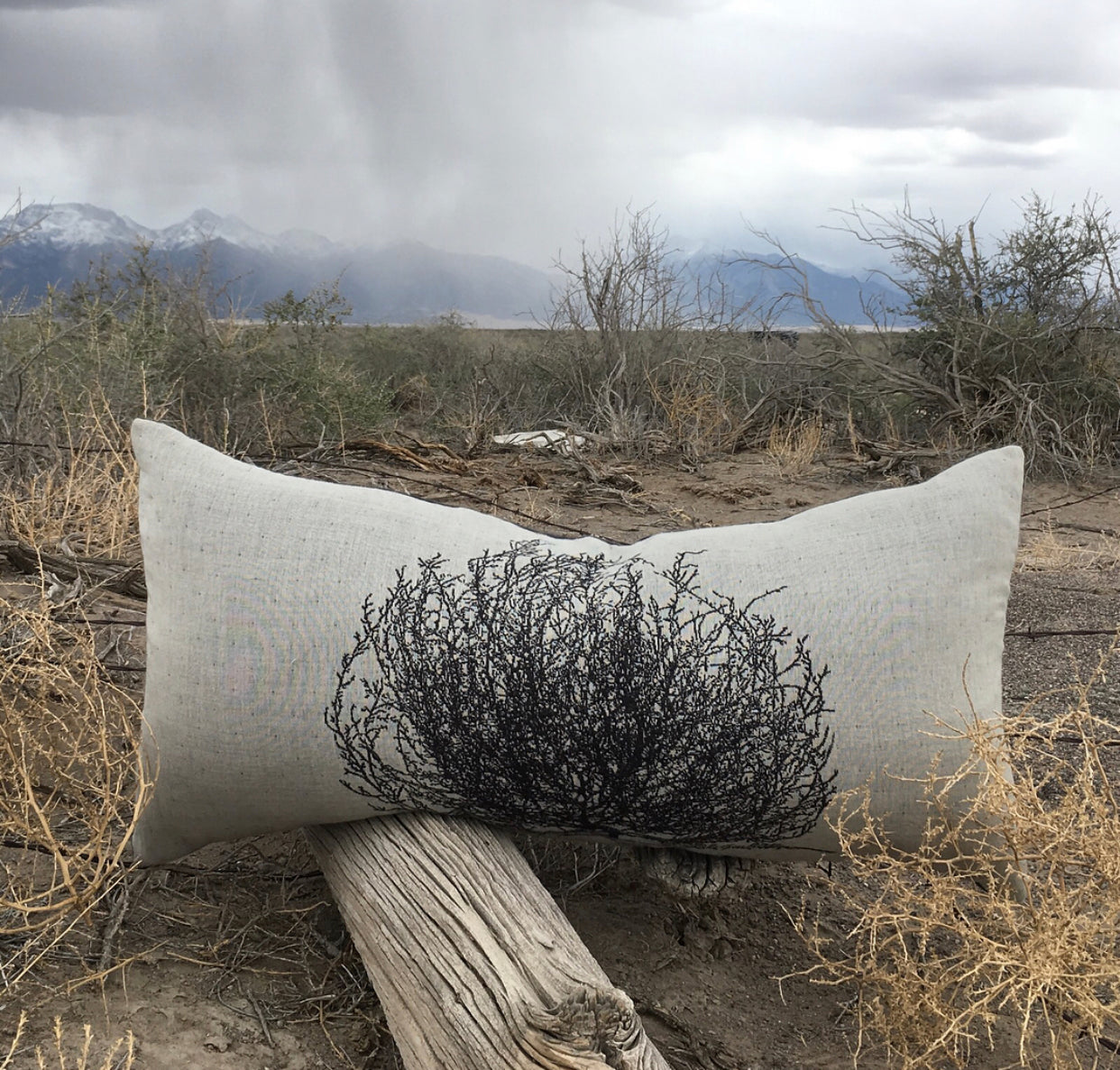 Tumbleweed Oblong Pillow