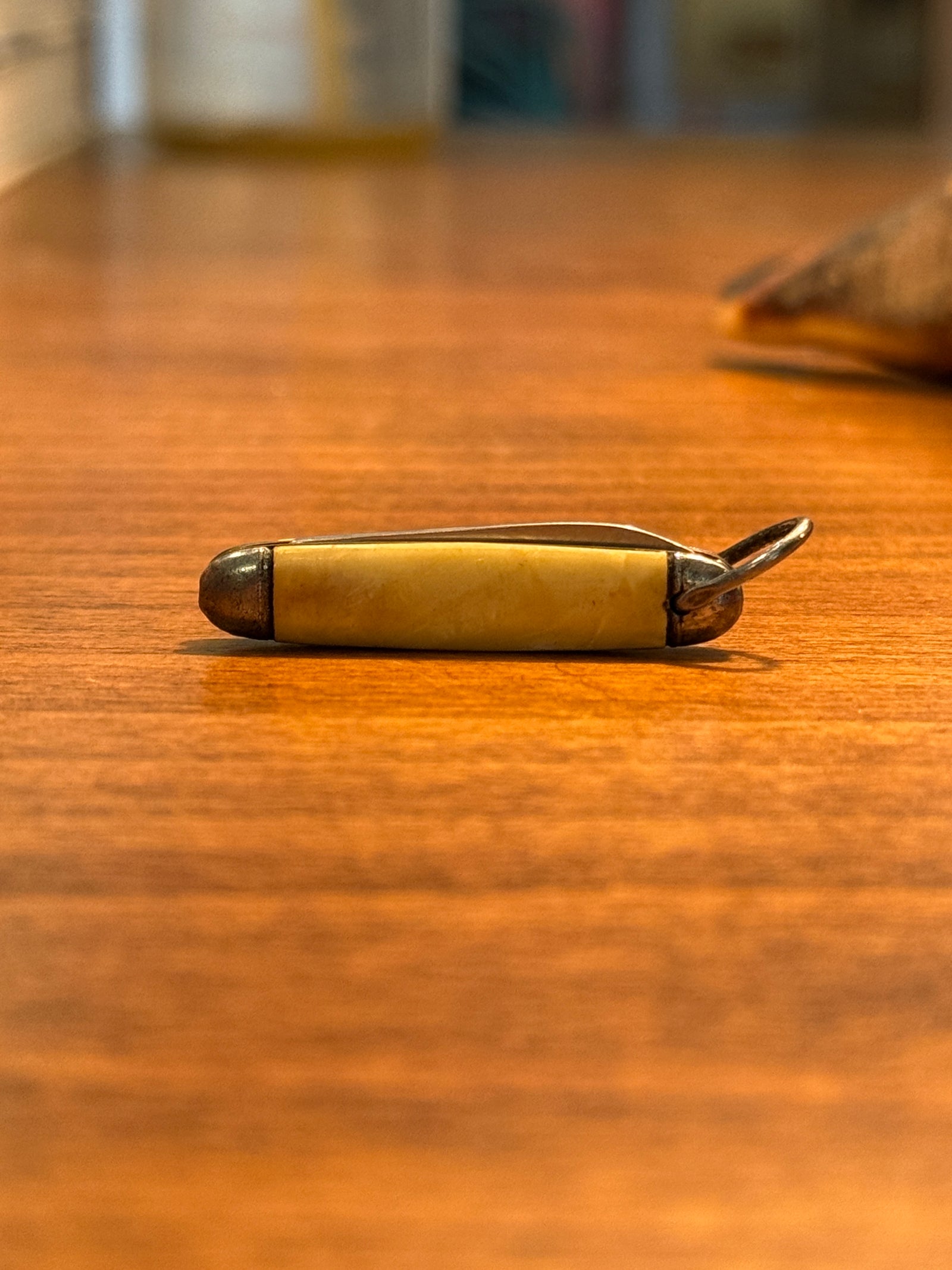 Pocket Knife