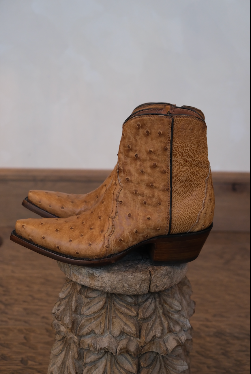 The Addi Patrona Boot