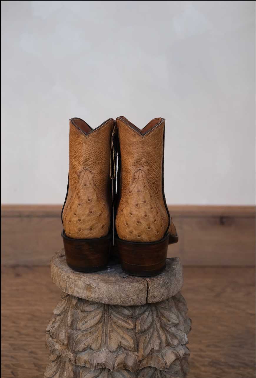 The Addi Patrona Boot