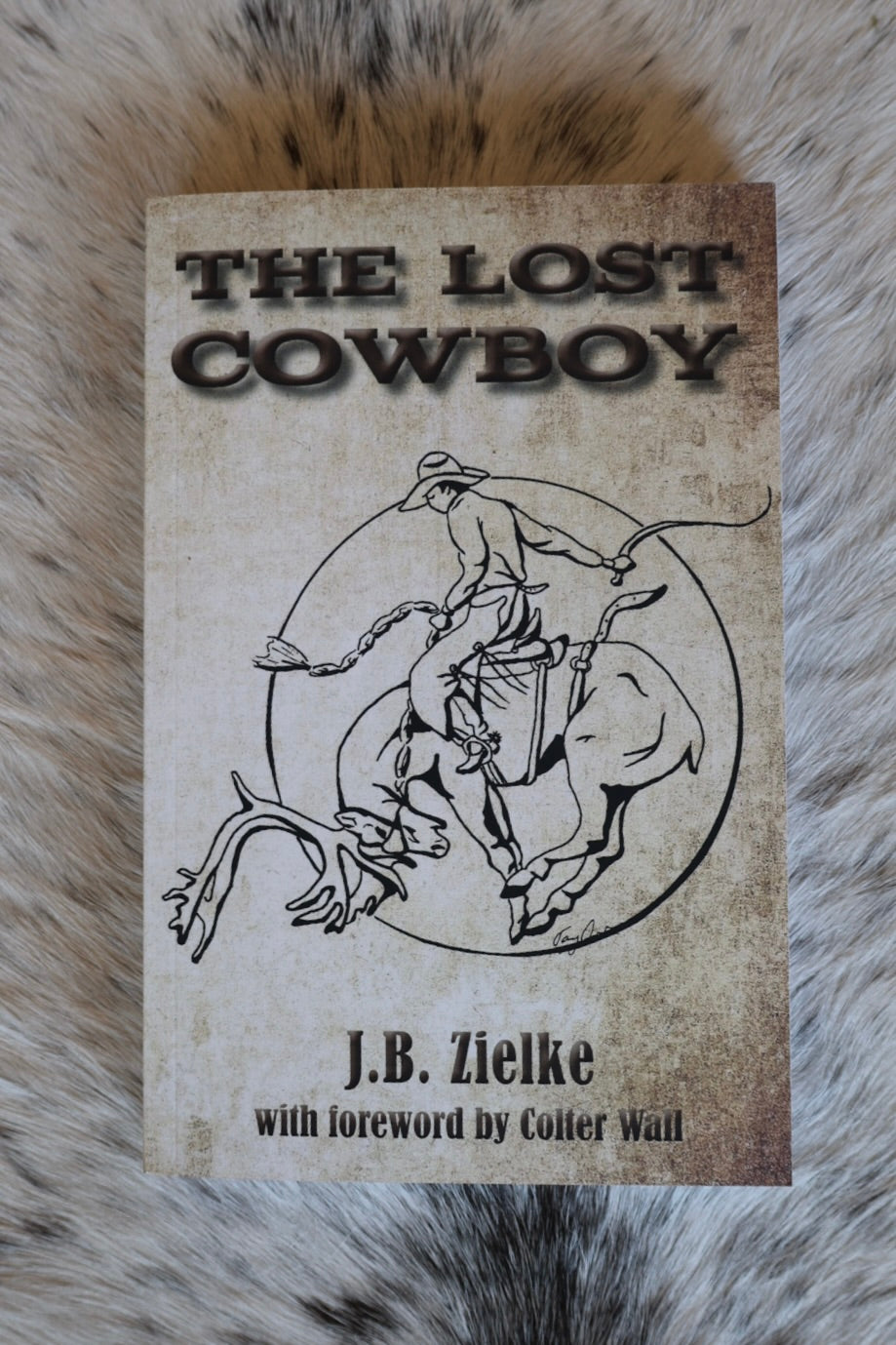 The Lost Cowboy by J.B. Zeilke