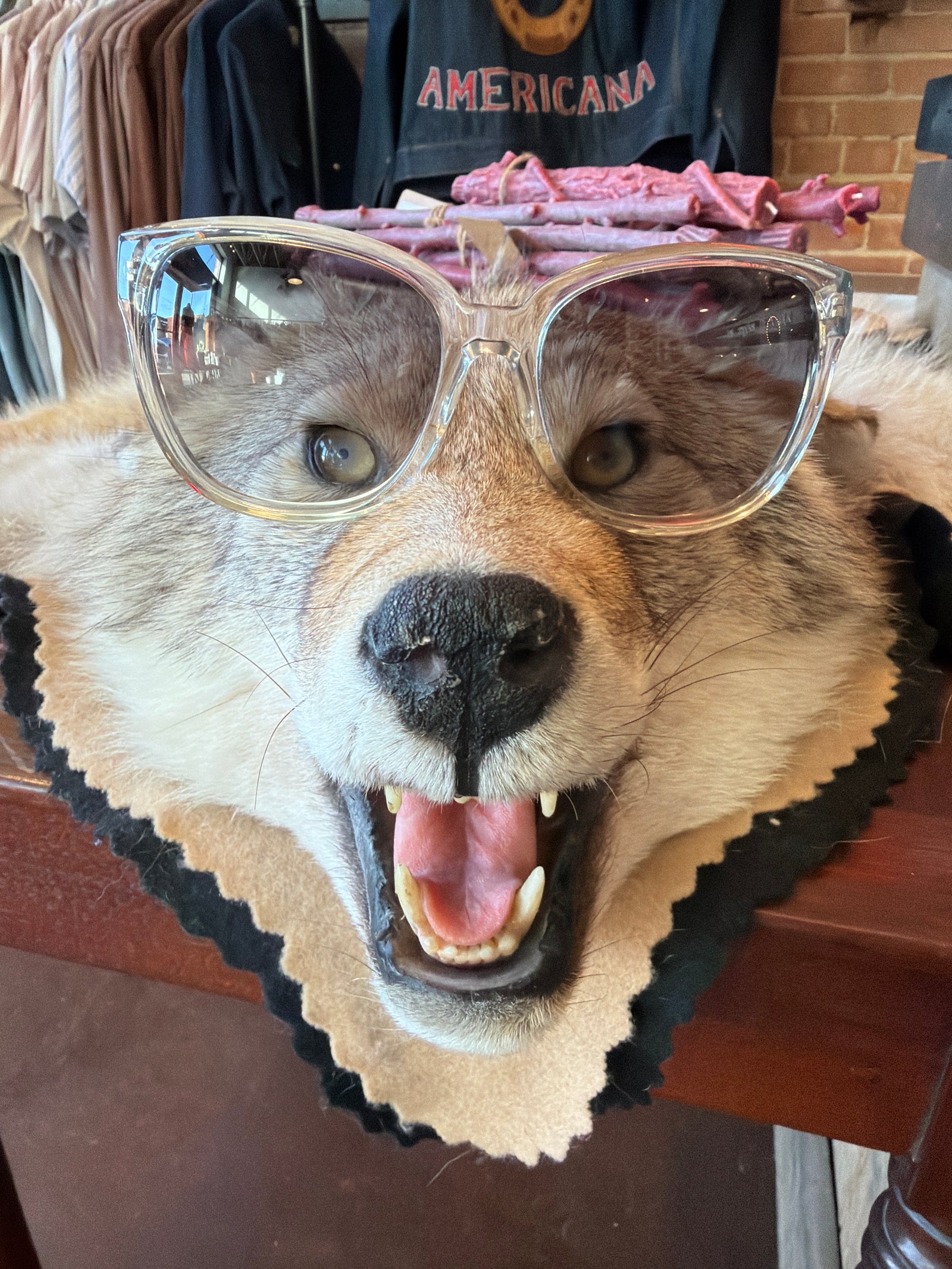 BENJAMIN EYEWEAR | DEUX