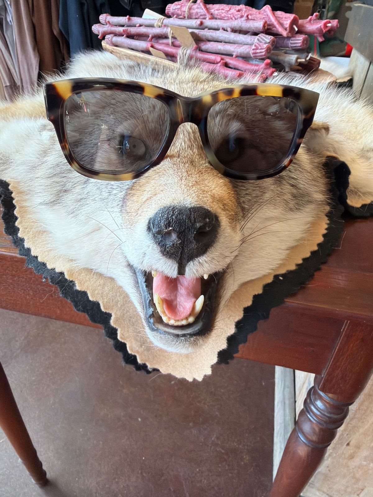 BENJAMIN EYEWEAR | KAYNE XL