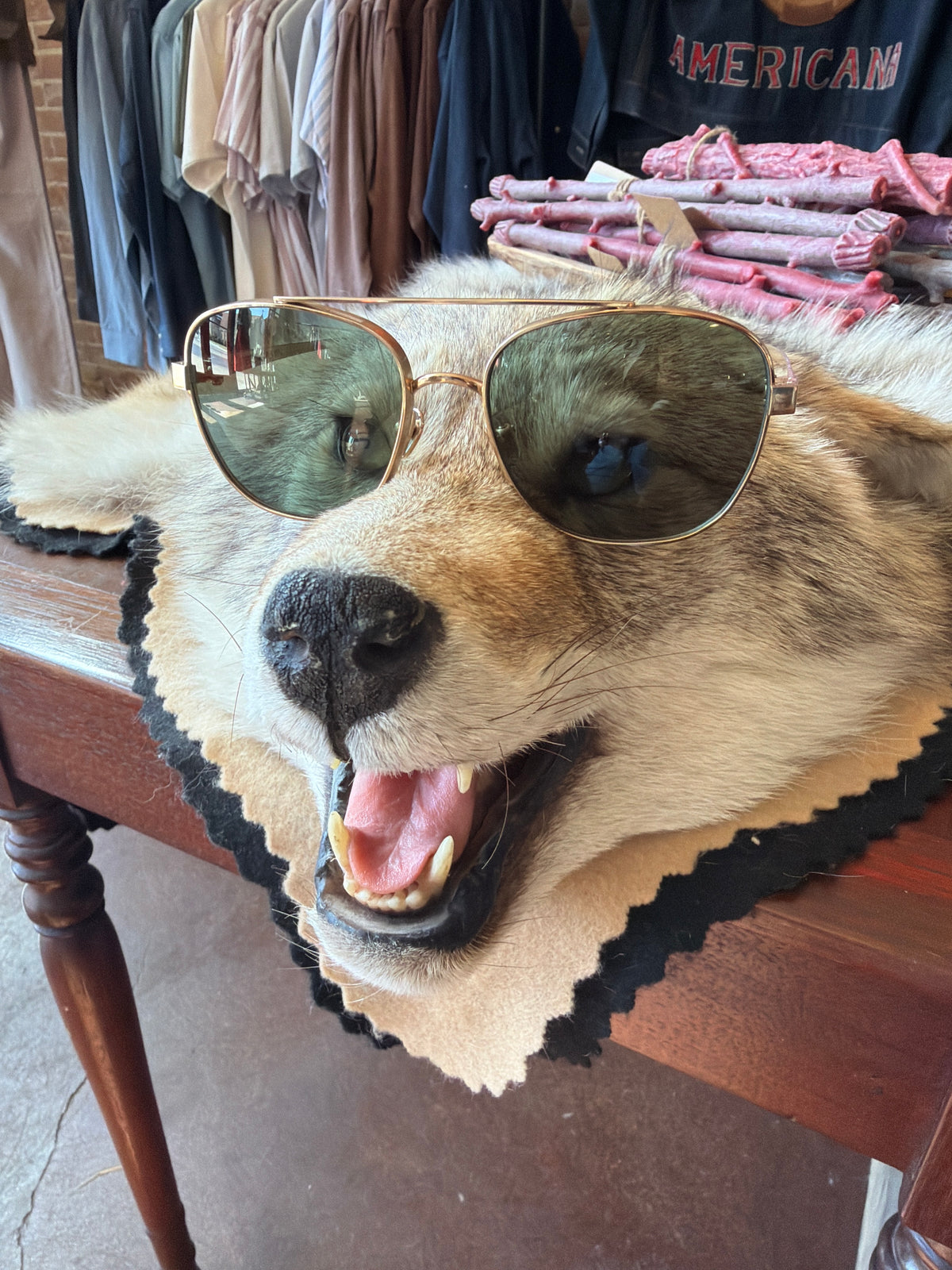 BENJAMIN EYEWEAR | SUNDANCE