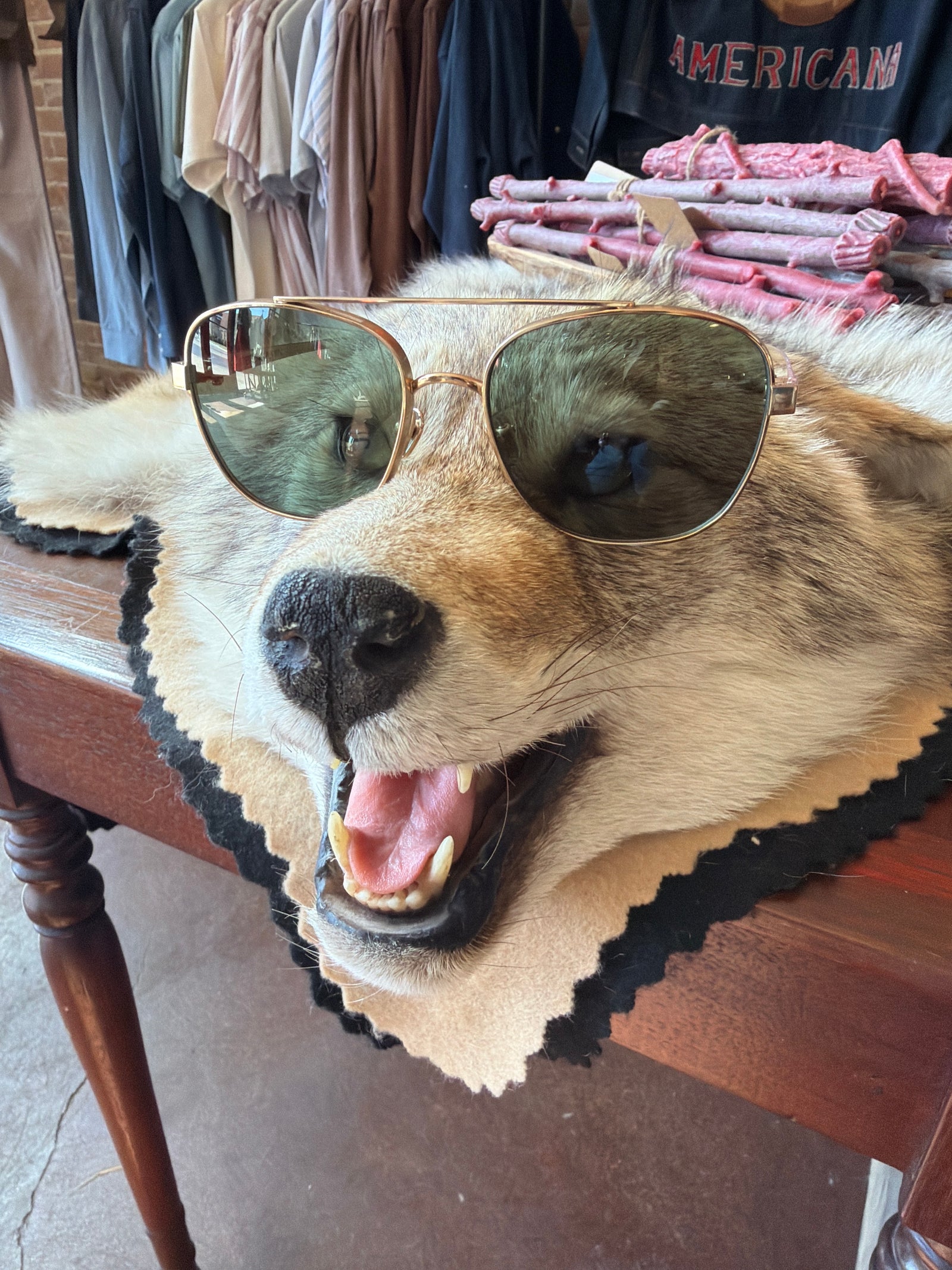 BENJAMIN EYEWEAR | SUNDANCE