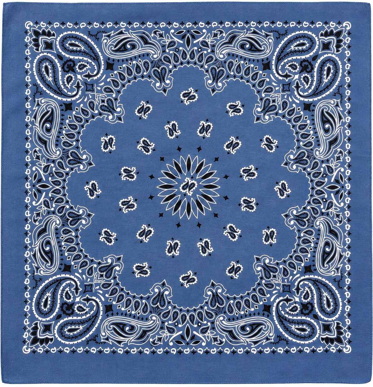 Light Blue Paisley
