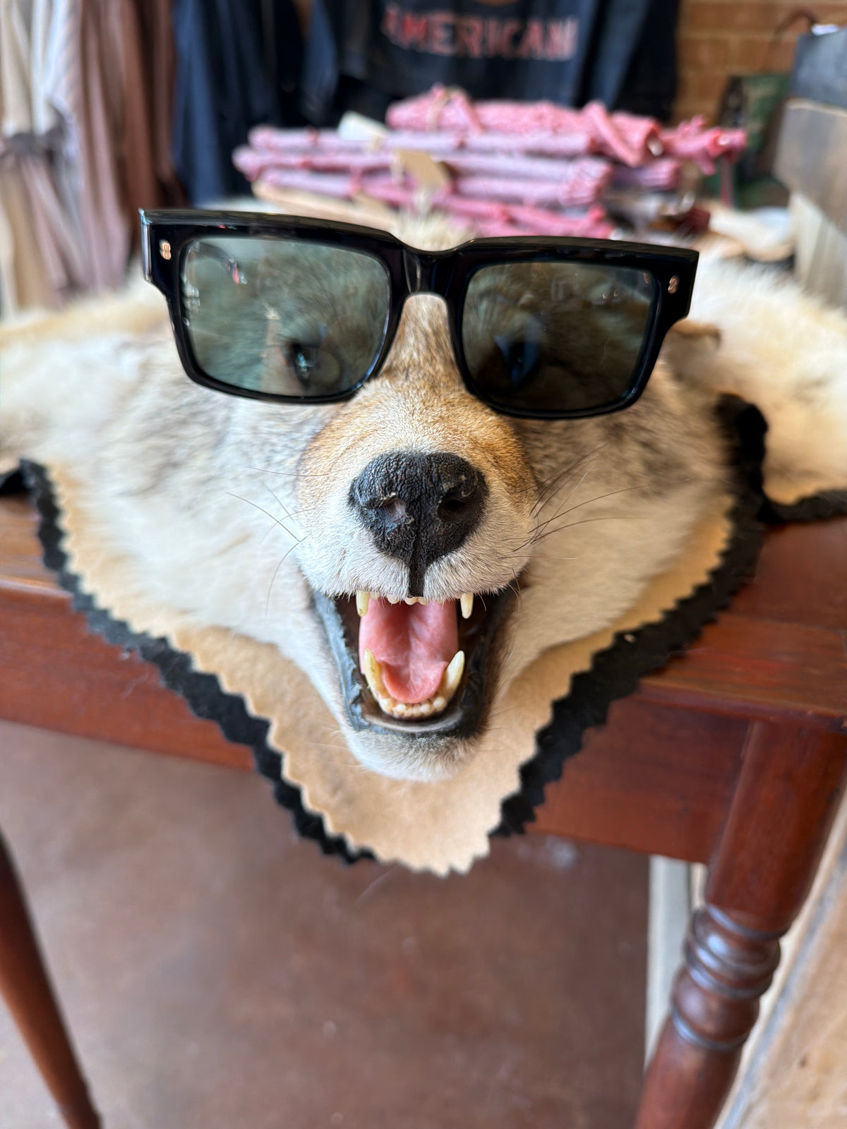 BENJAMIN EYEWEAR| PALMER