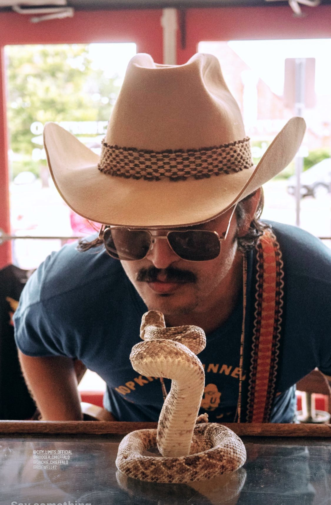 The Waylanders Record