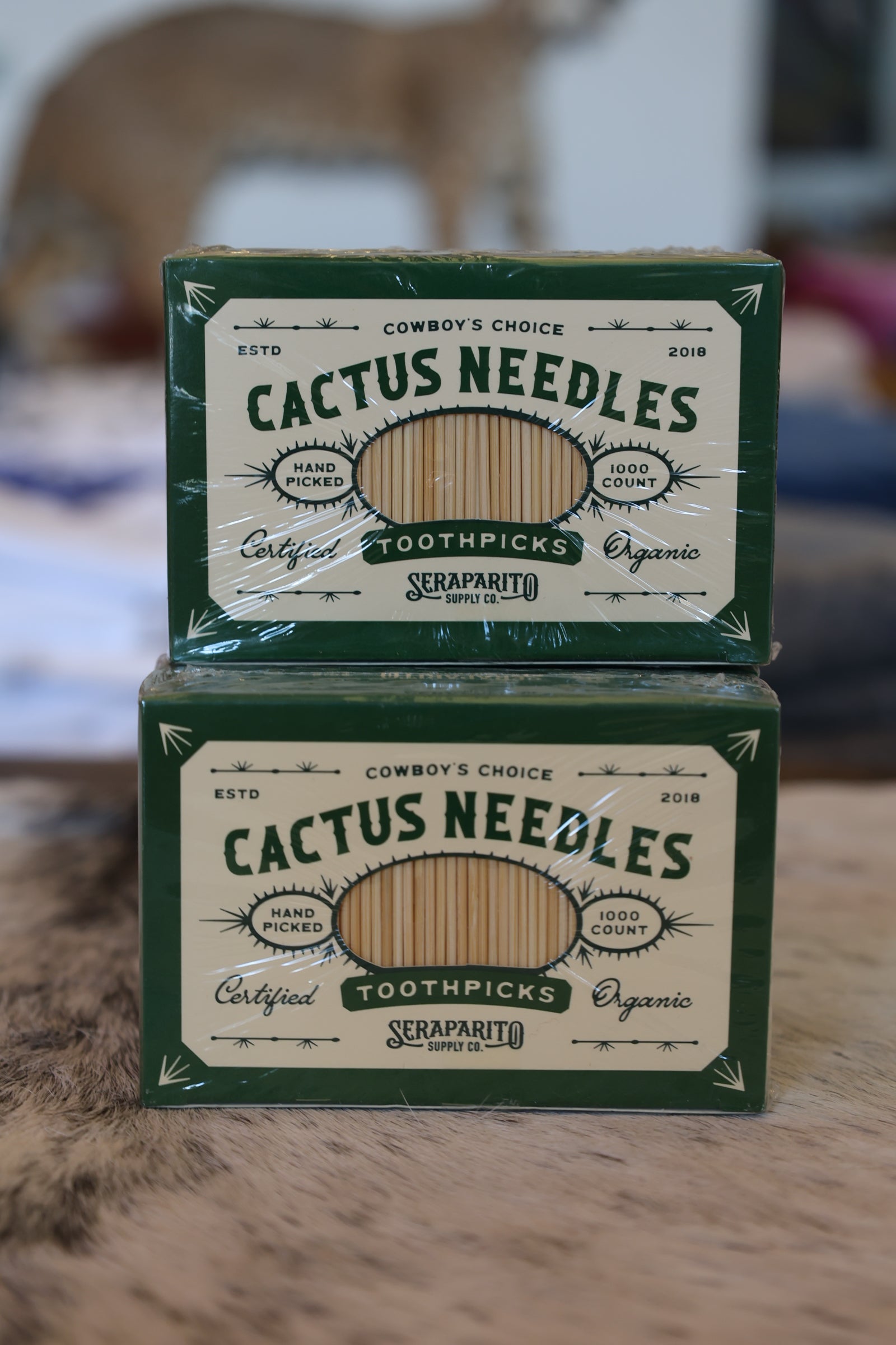 Cactus Needle Toothpicks