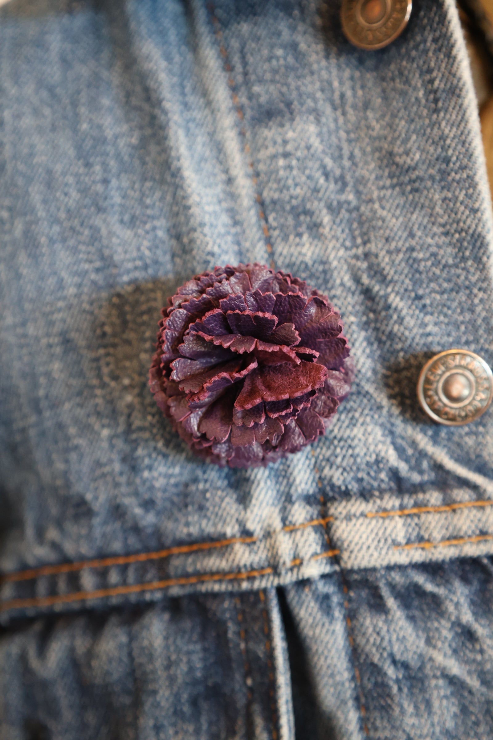 Purple Carnation