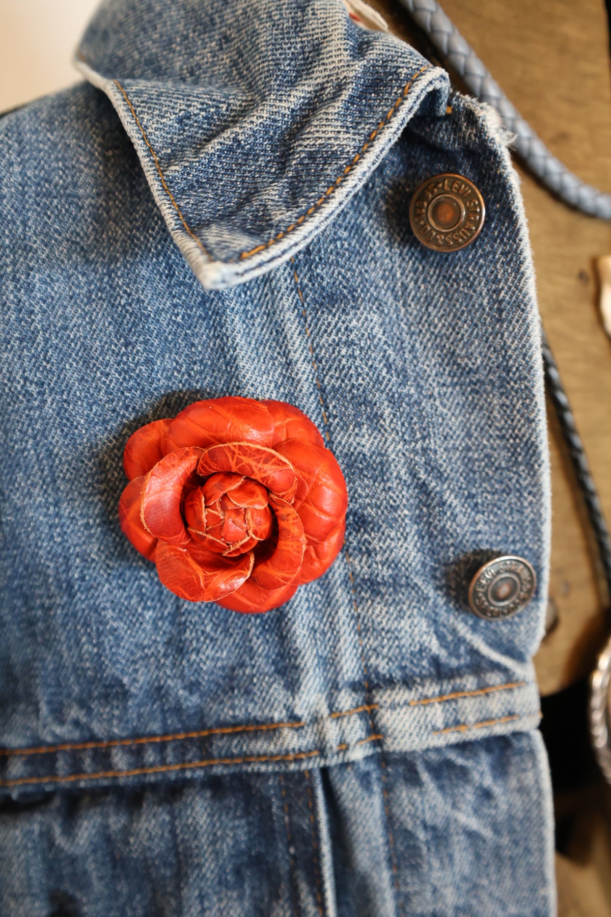 Burnt Orange Blooming Camellia