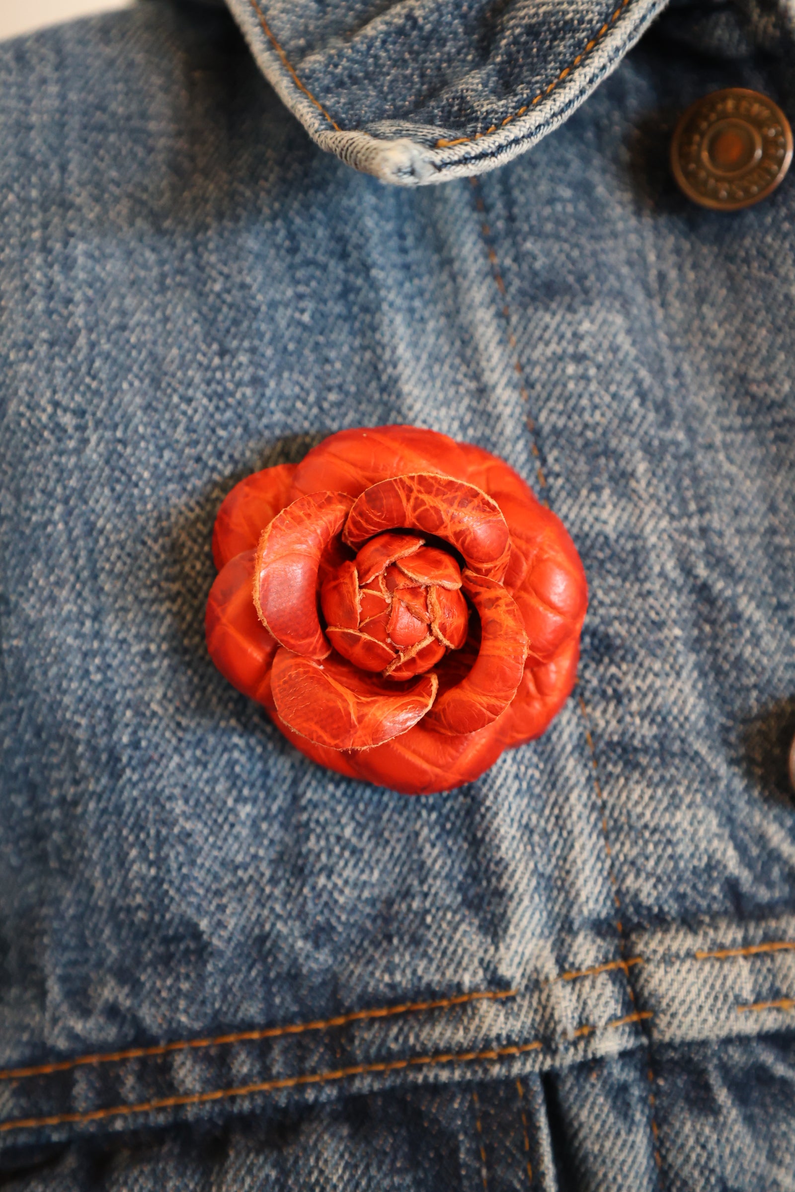 Burnt Orange Blooming Camellia