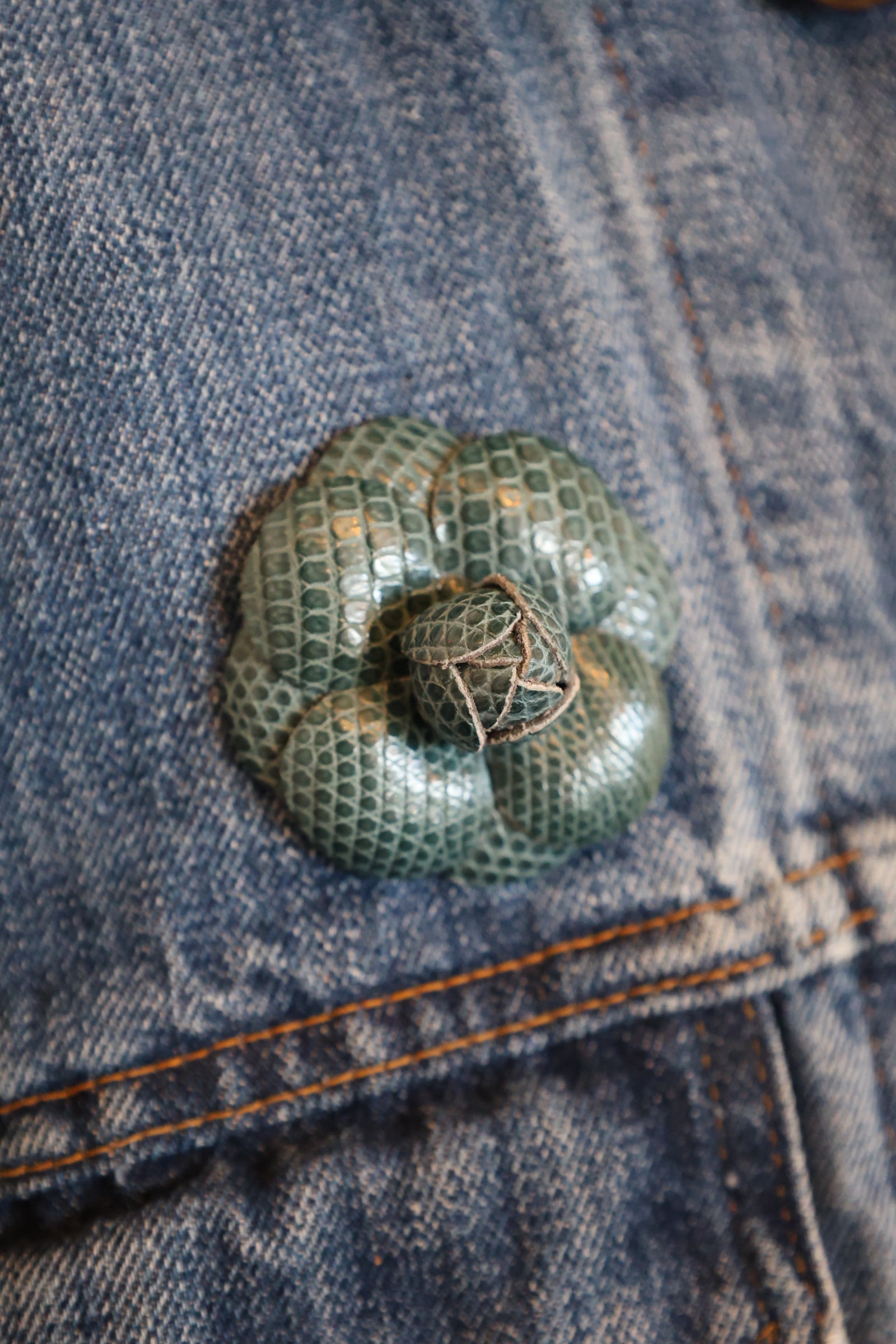 Teal Camellia