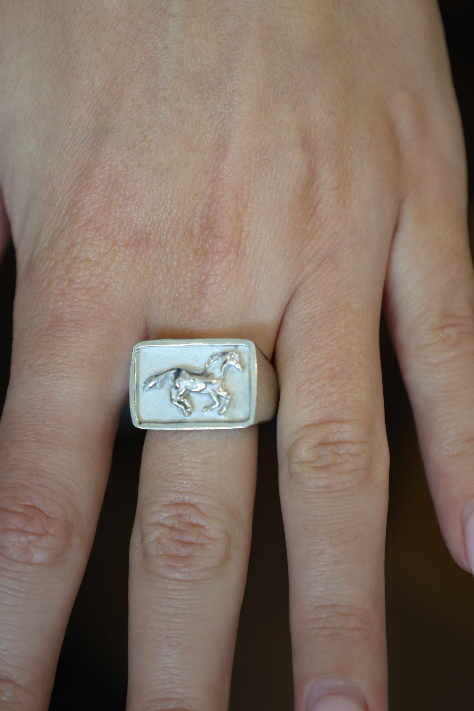 Appaloosa Signet Ring