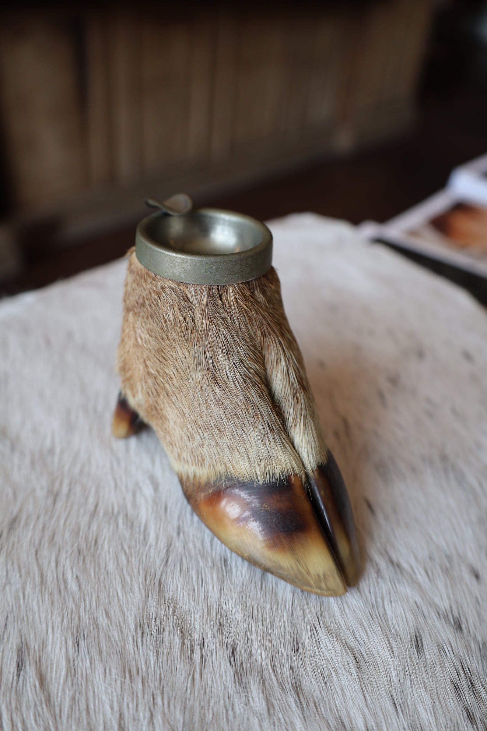 Deer Hoof Ash Tray
