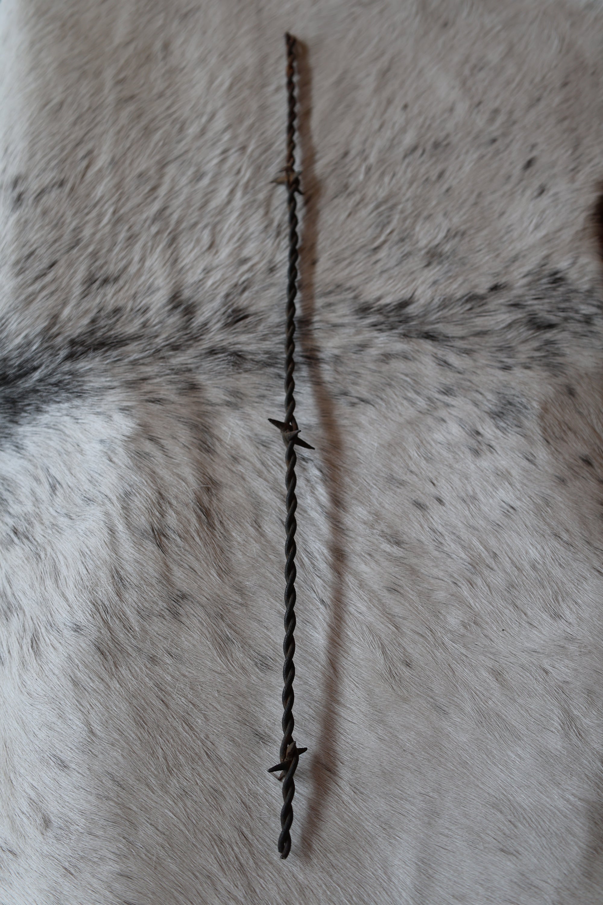 Antique Barbed Wire