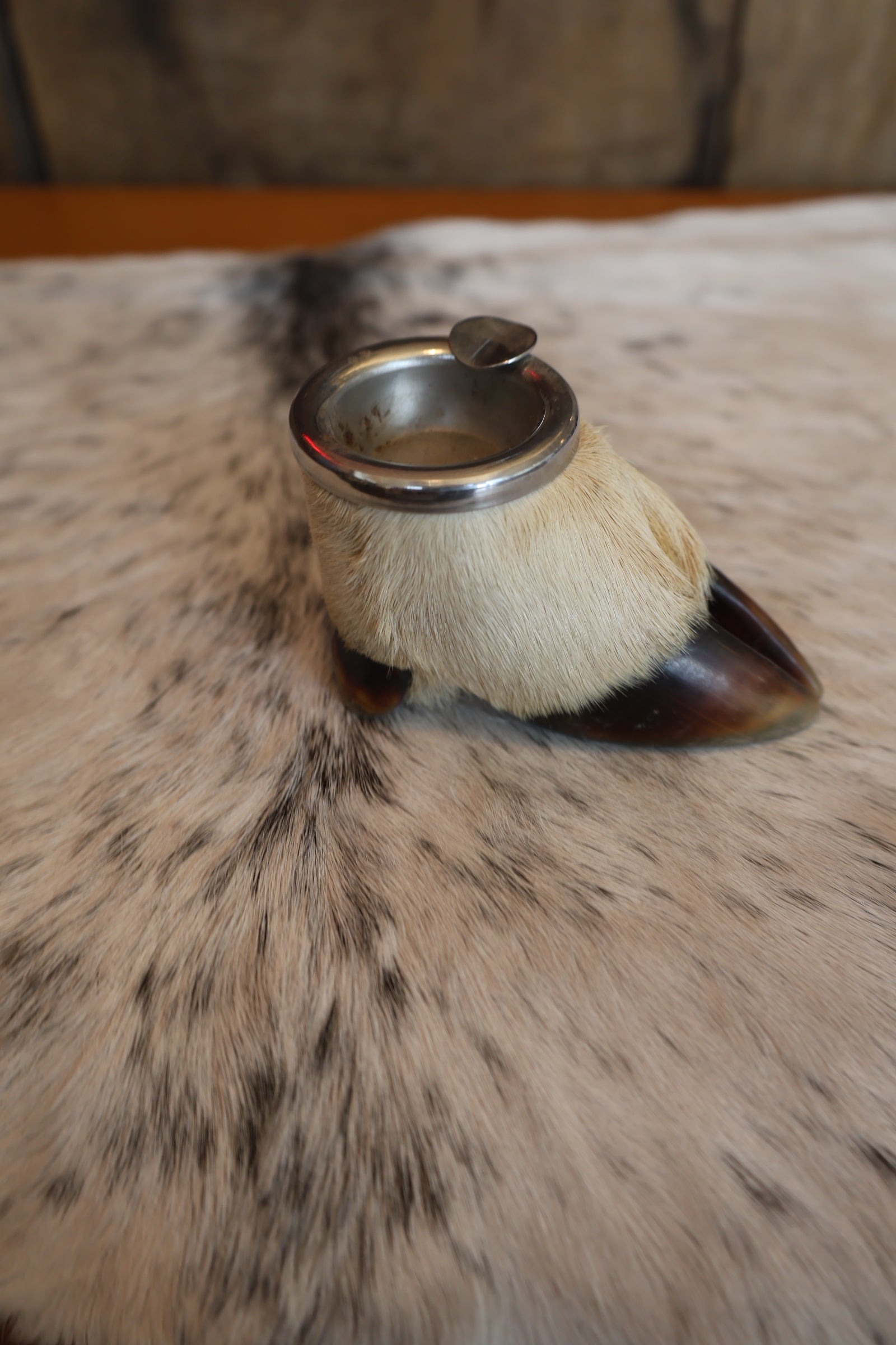 Deer Hoof Ash Tray