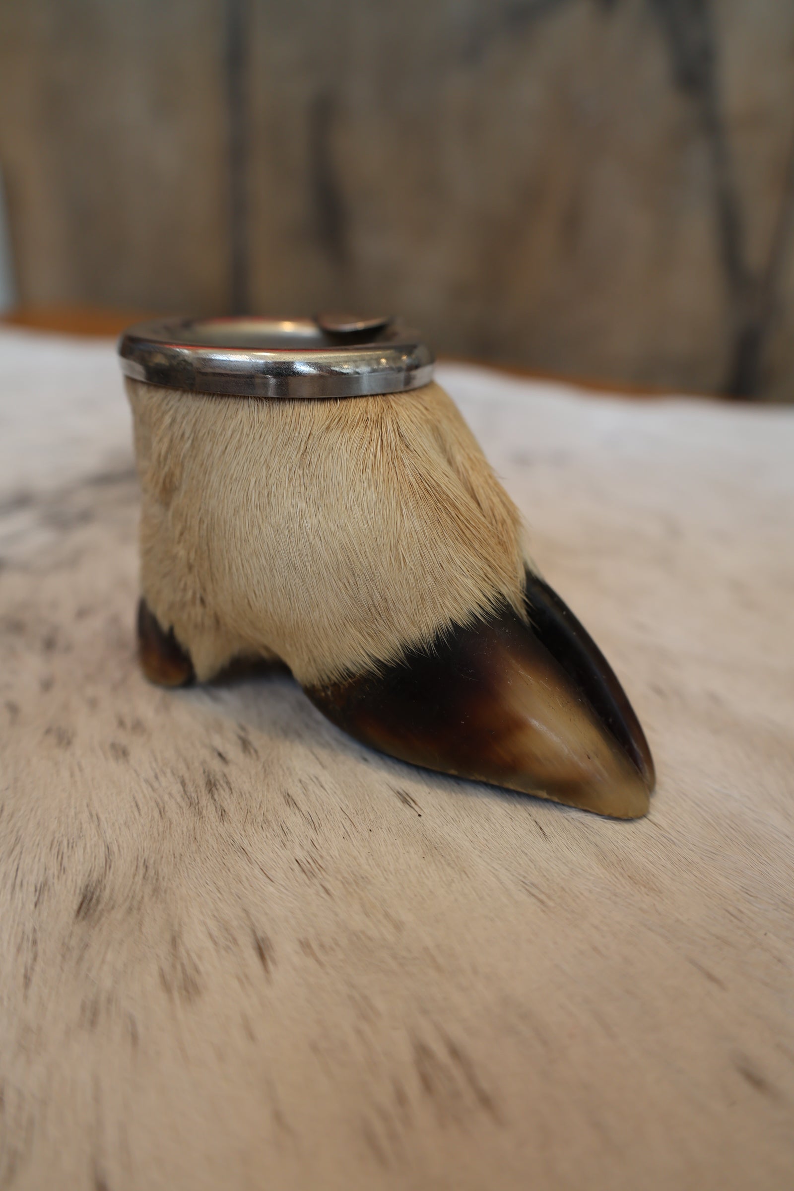 Deer Hoof Ash Tray