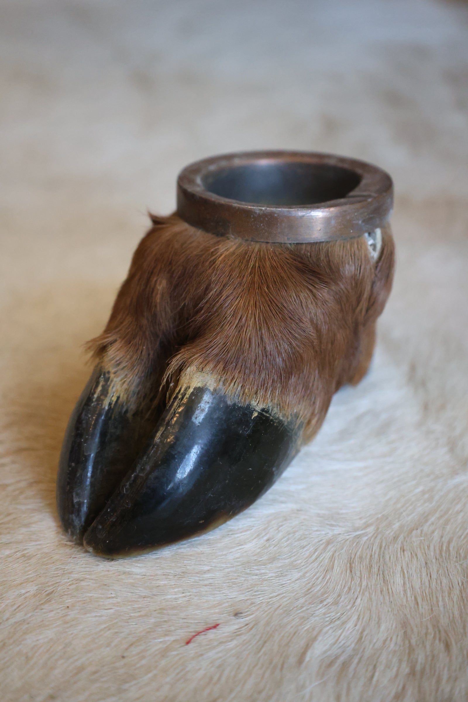 Elk Ash Tray