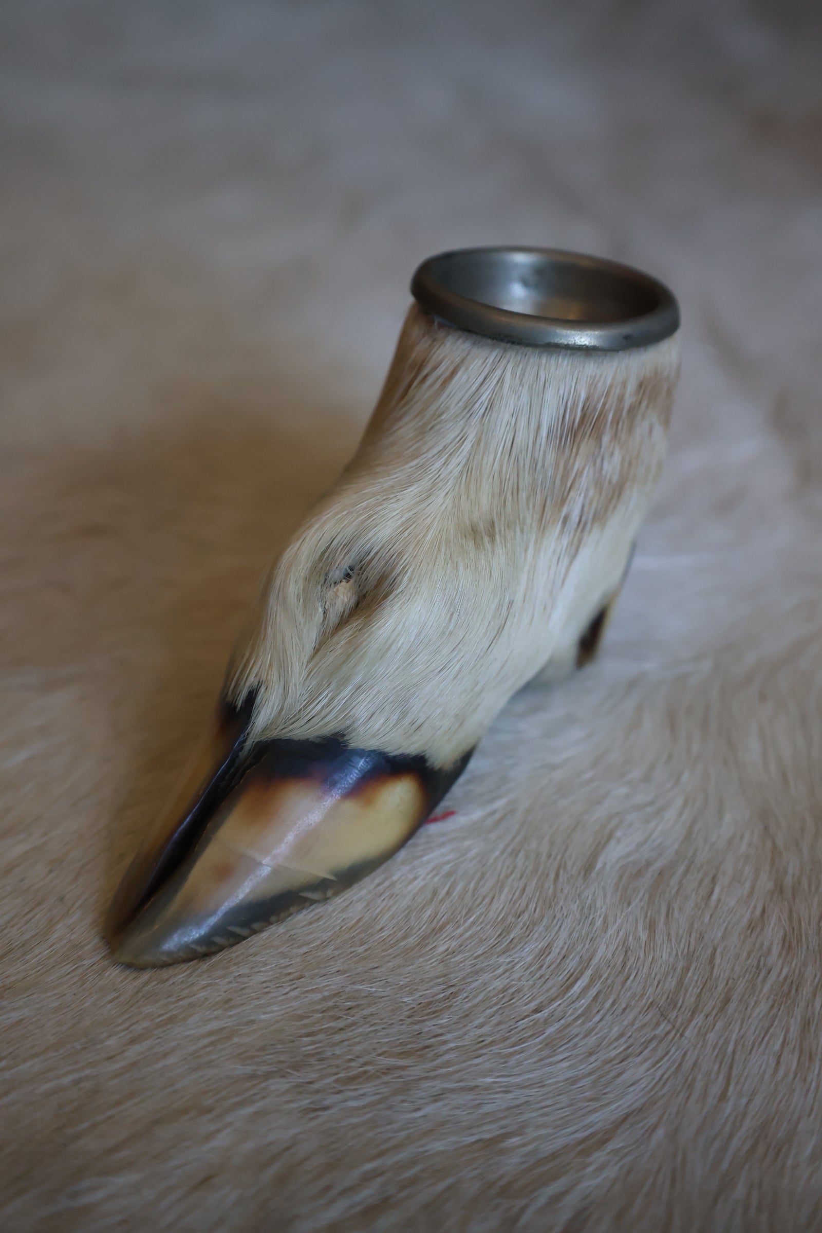 Deer Hoof Ash Tray