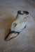 Deer Hoof Ash Tray