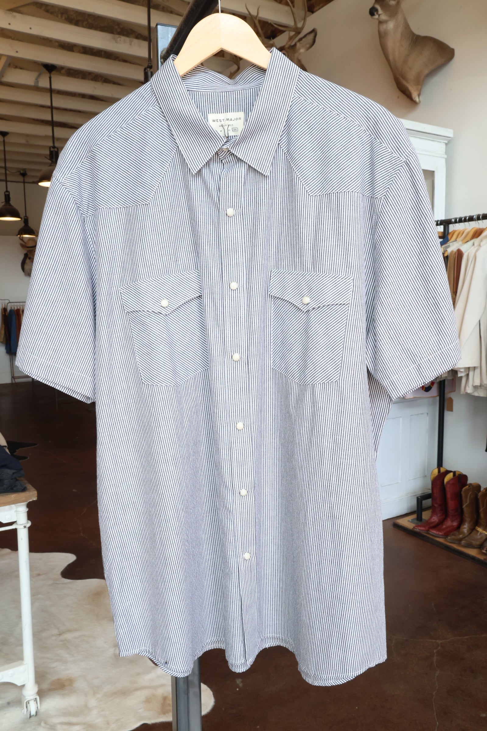 Pencil Stripe Western Shirt