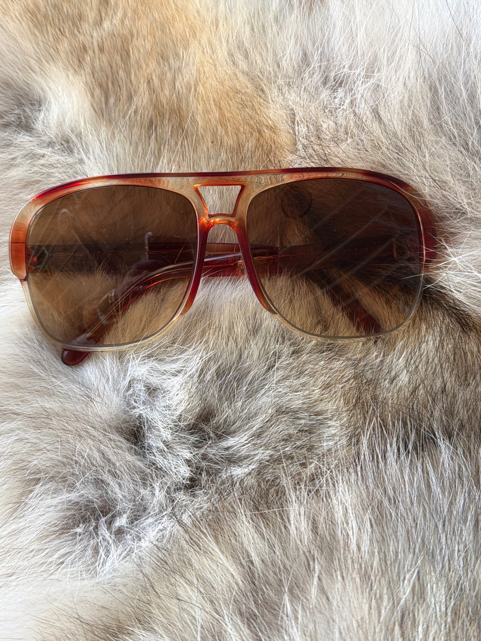 PIERRE CARDIN | CAVALIER