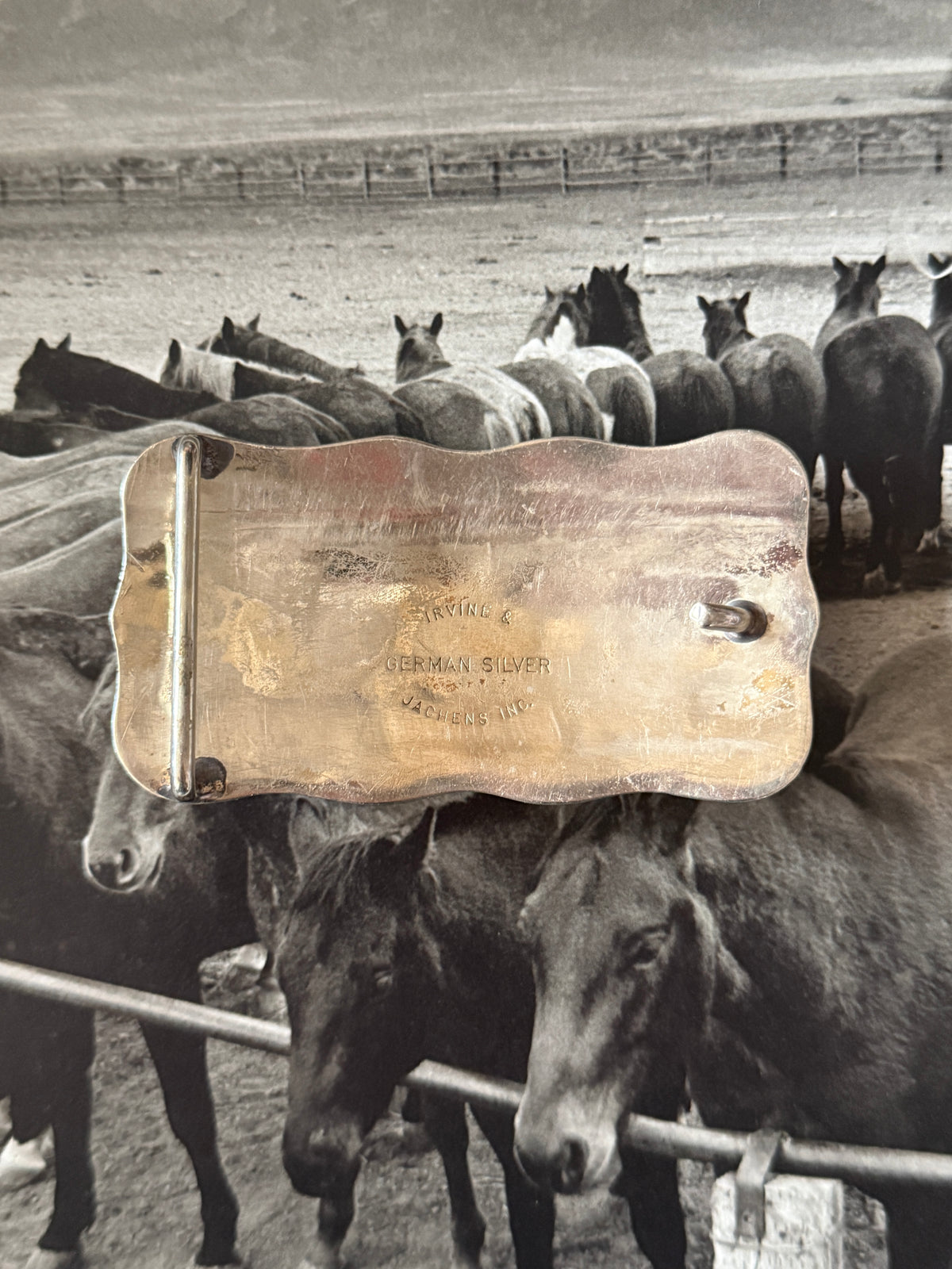 Longhorn Belt Buckle