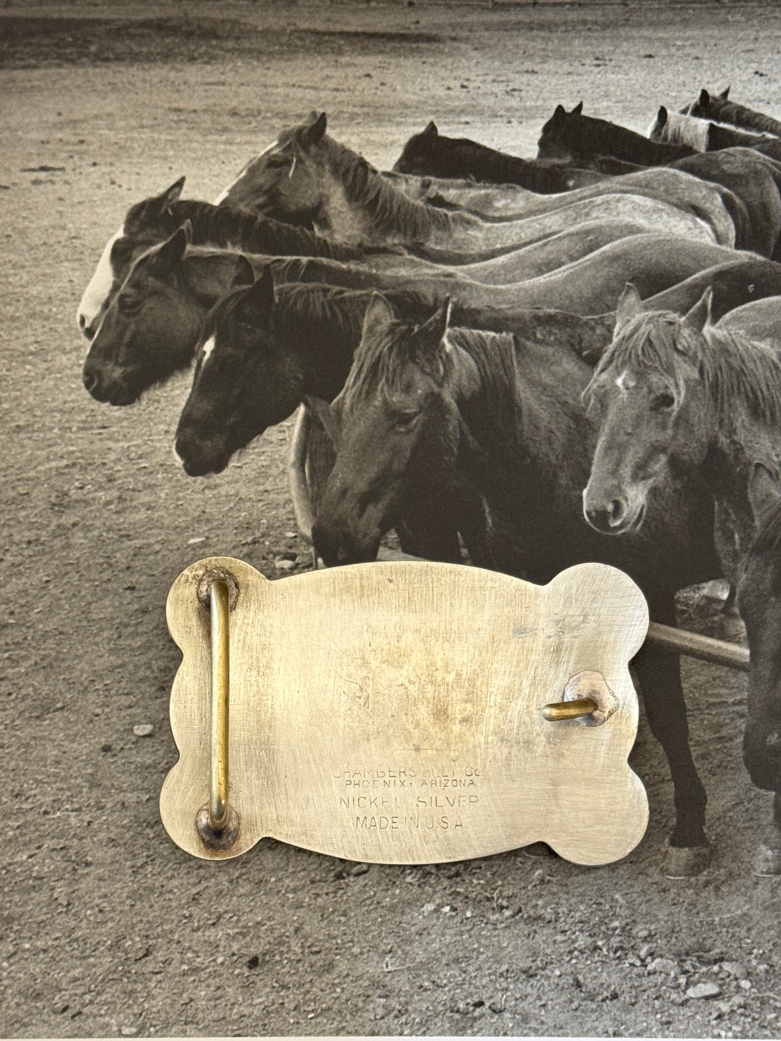 Horseshoe Belt Buckle