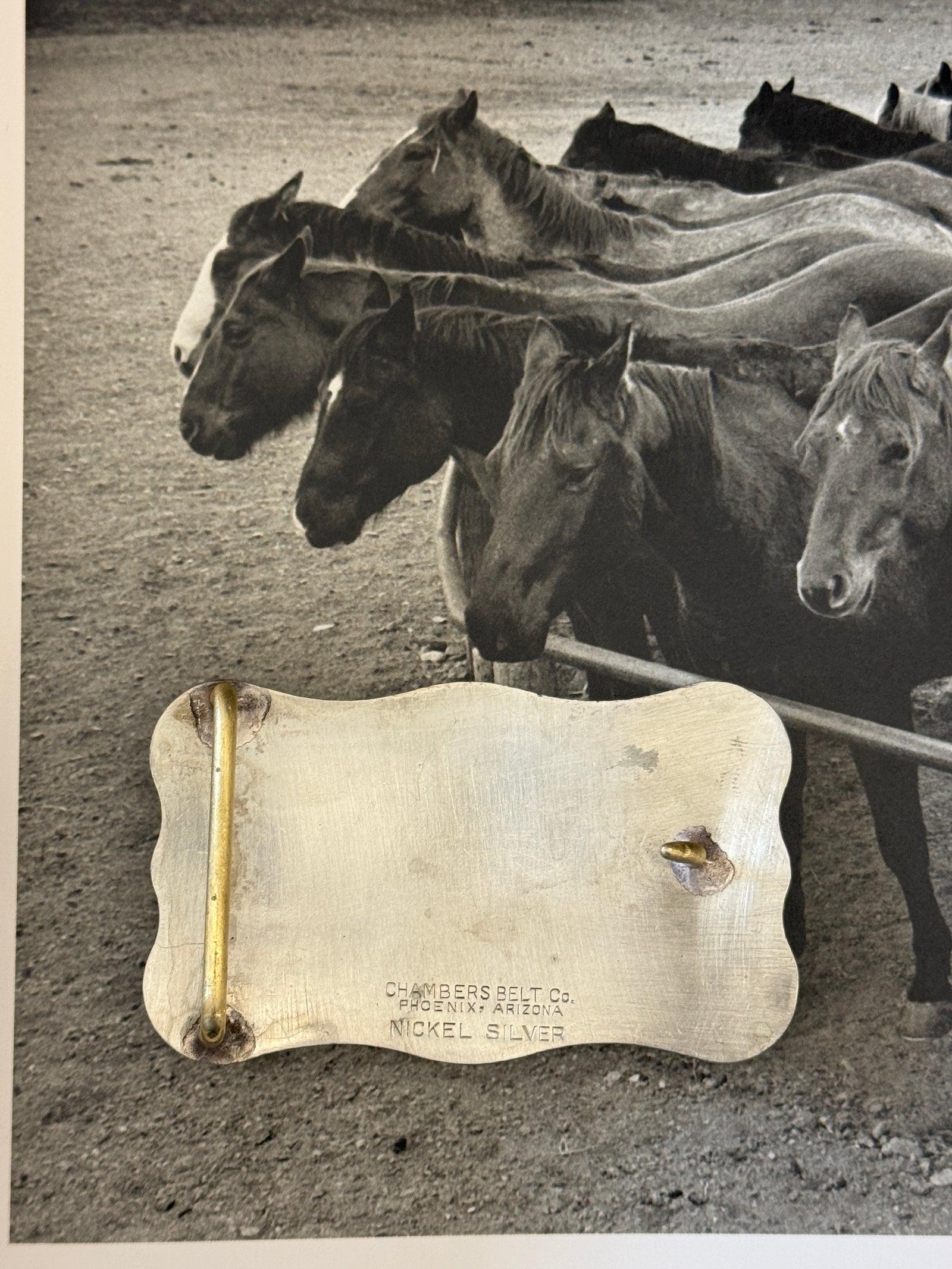 Longhorn Belt Buckle