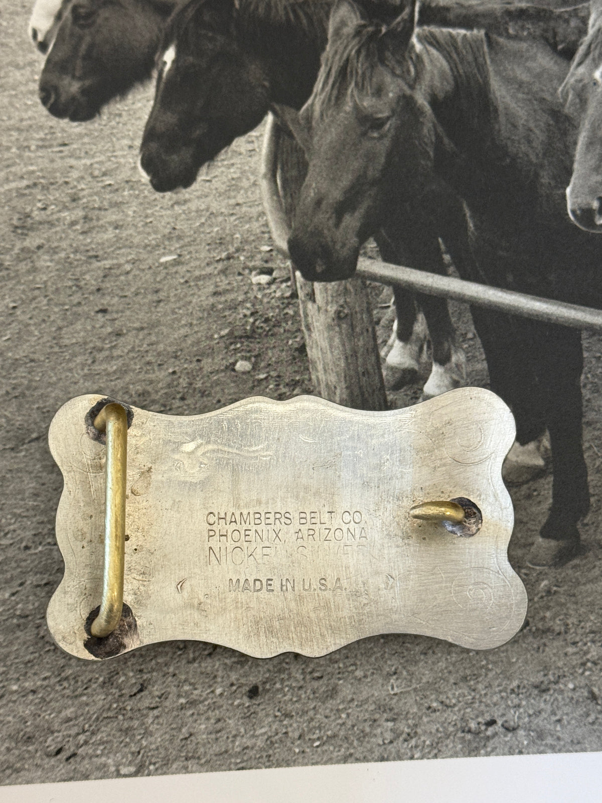 Longhorn Belt Buckle