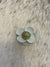 Silver Blooming Camellia