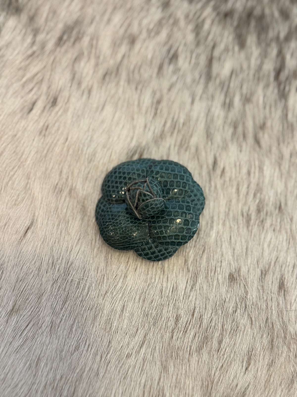 Teal Camellia