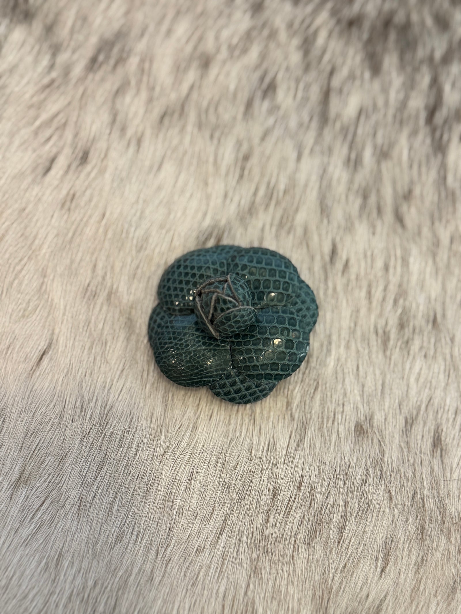 Teal Camellia