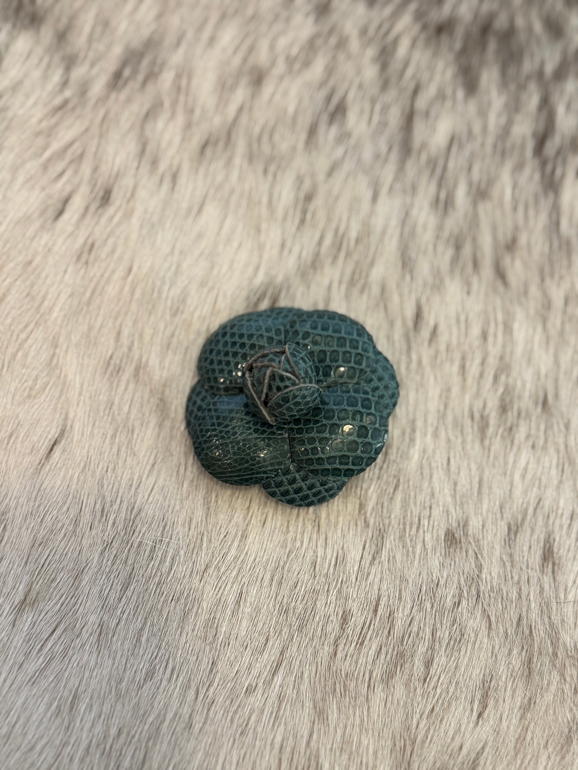 Teal Camellia