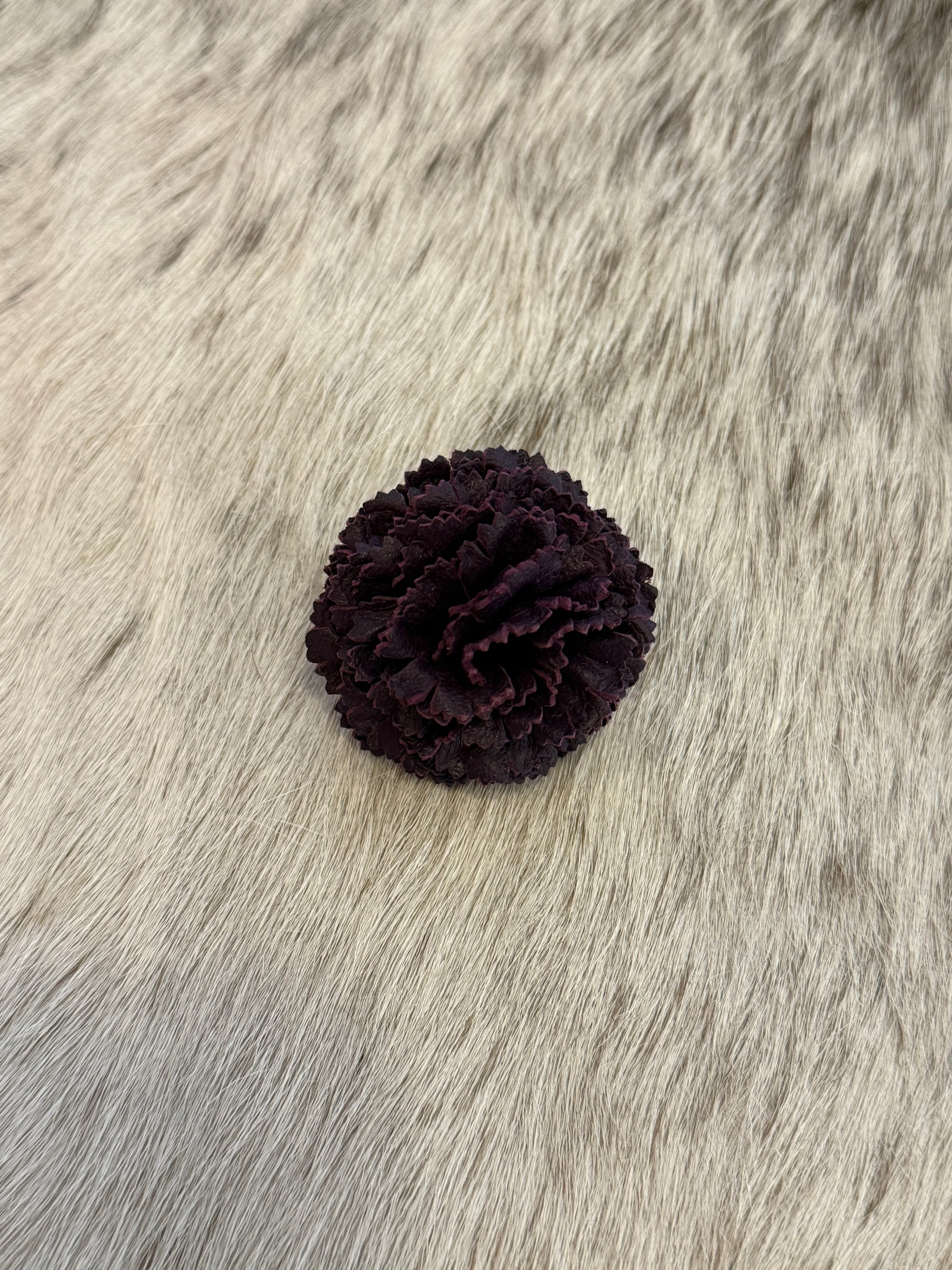Purple Carnation