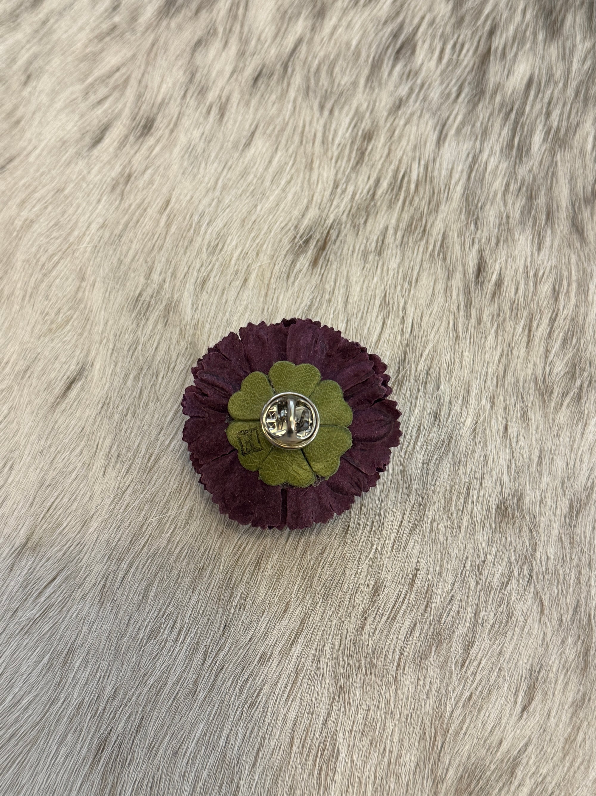 Purple Carnation