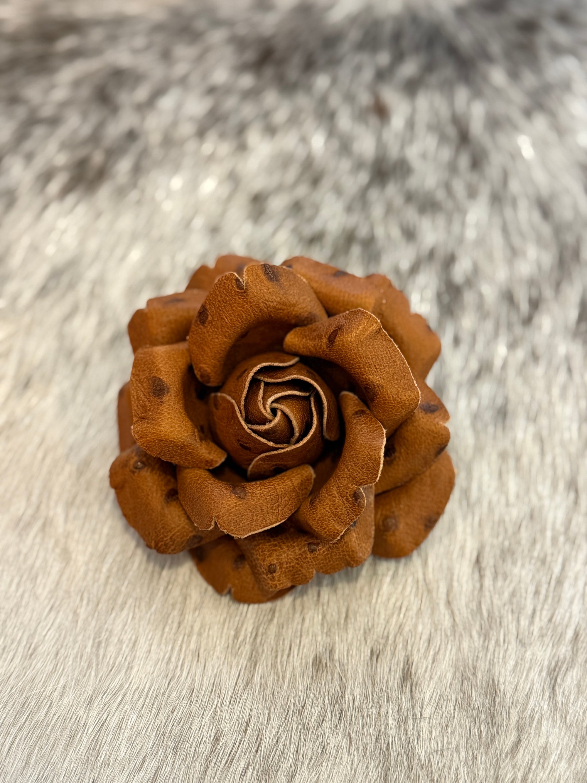 Large Jonah Rose