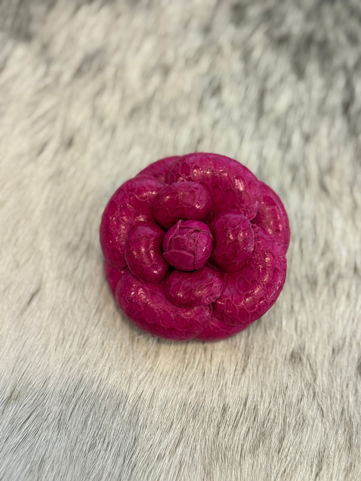 Fuchsia Large Camellia