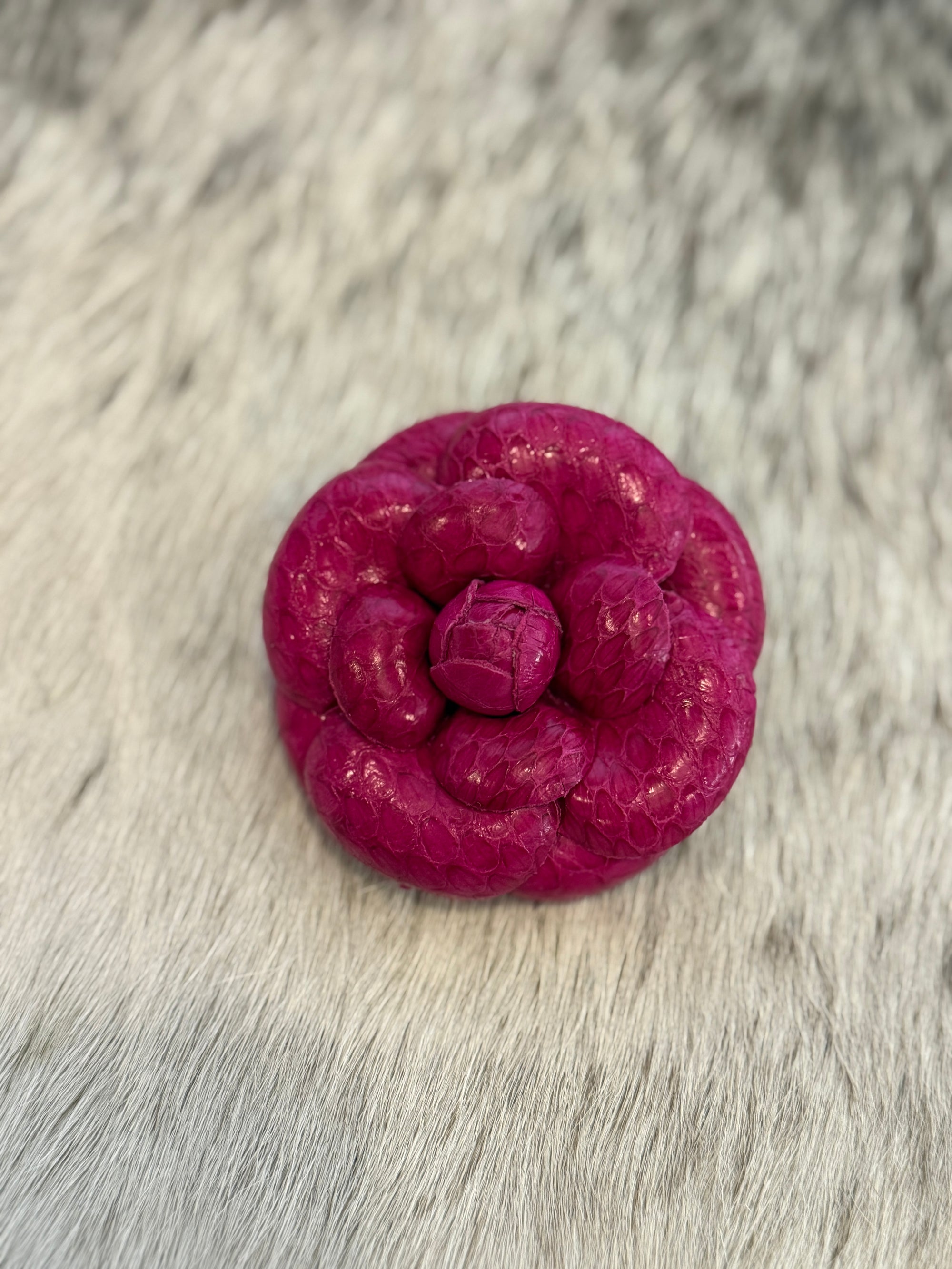 Fuchsia Large Camellia