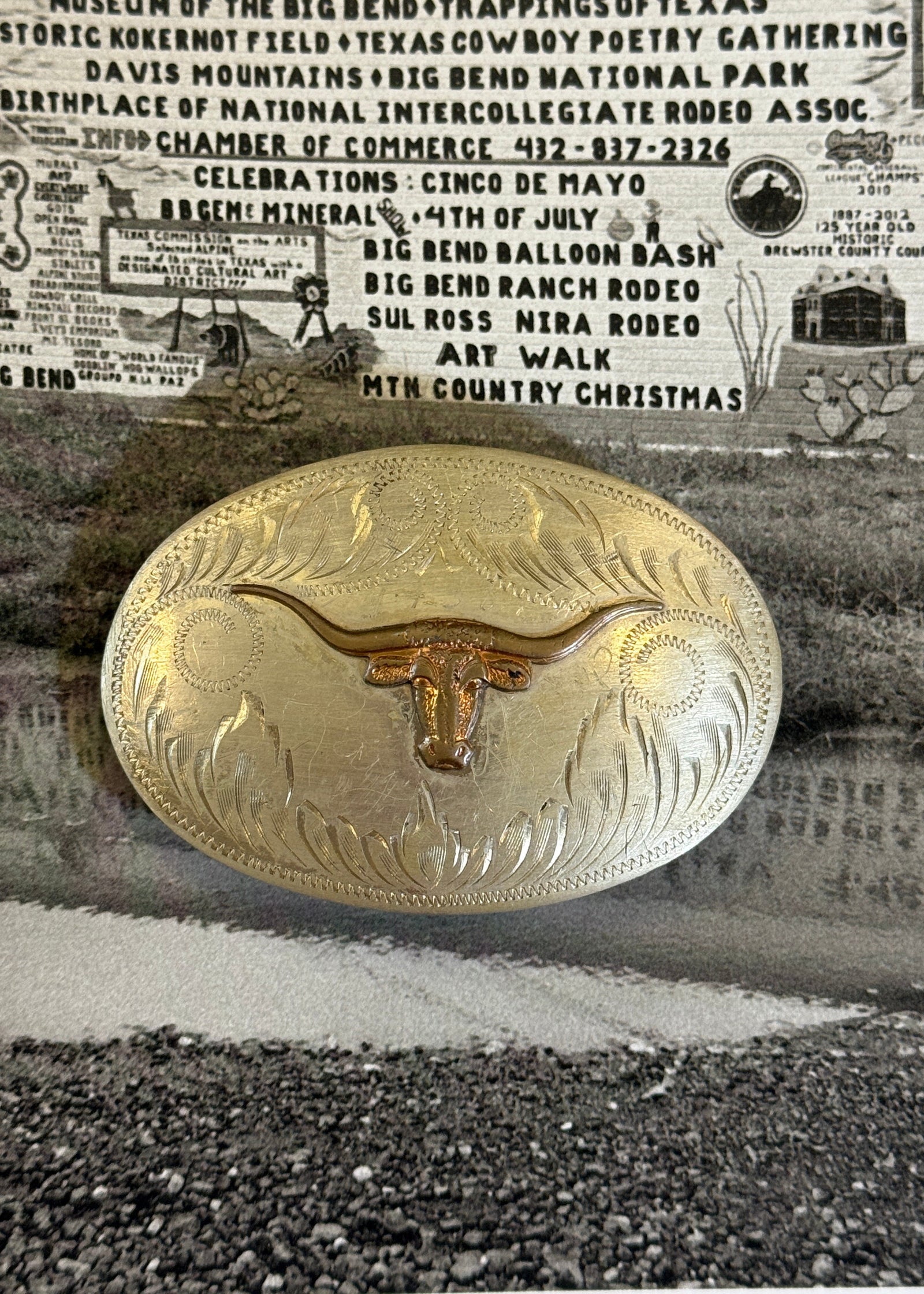 Longhorn Belt Buckle