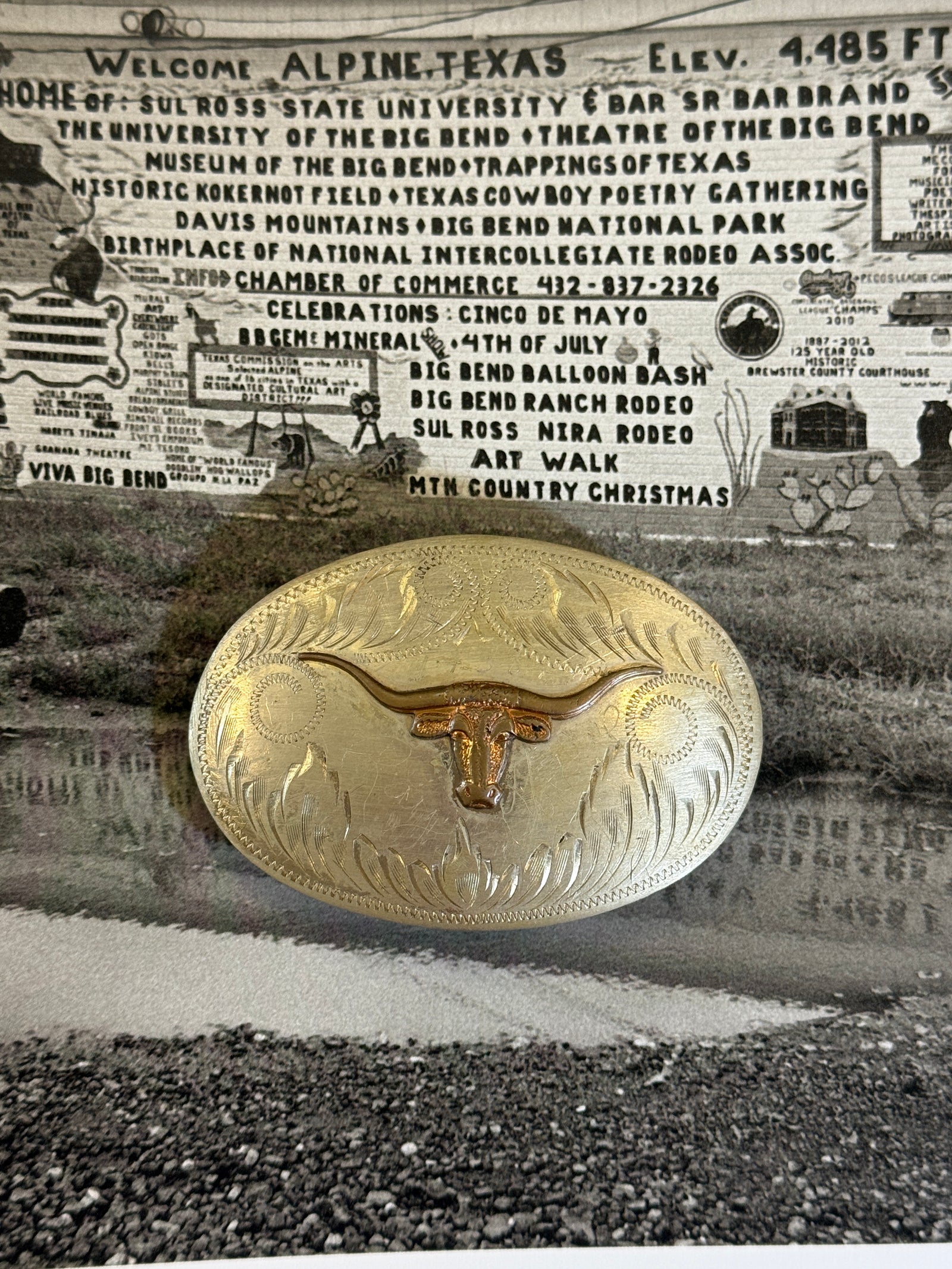 Longhorn Belt Buckle