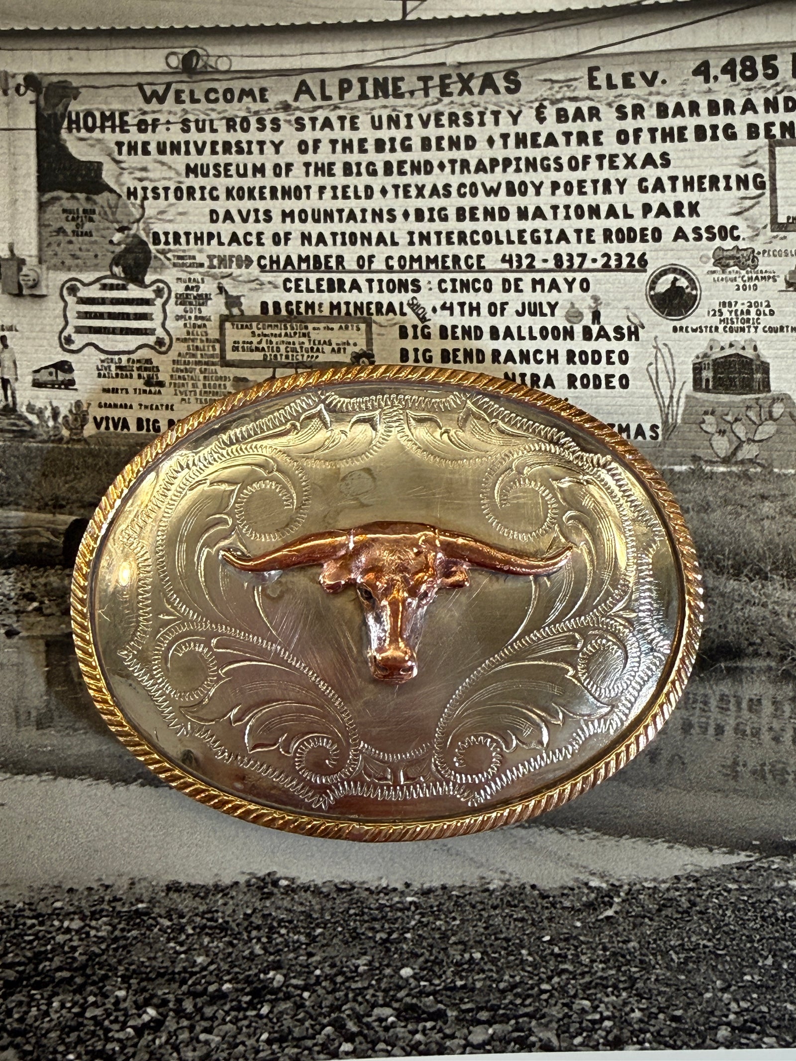 Longhorn Belt Buckle