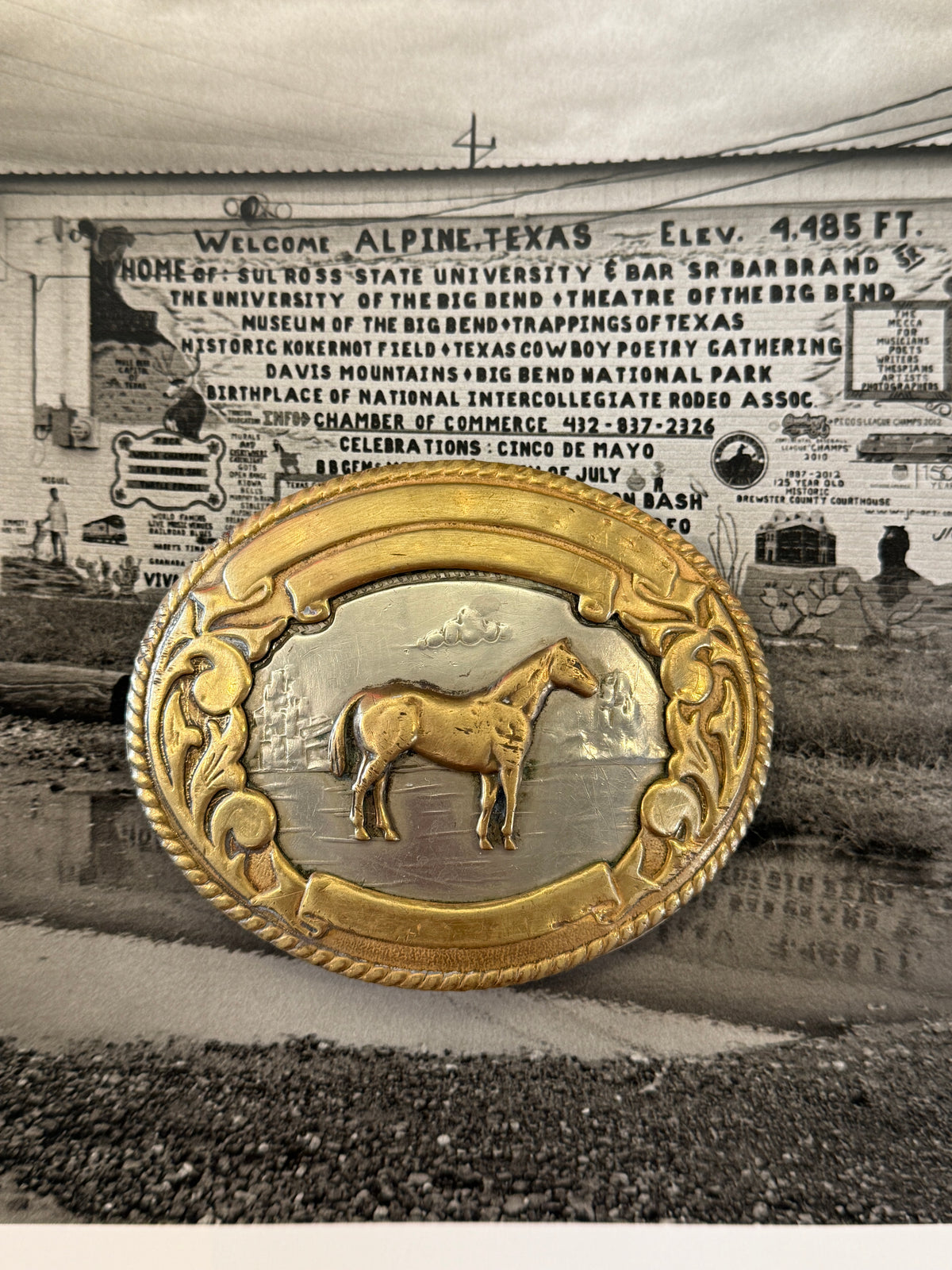 Horse Belt Buckle