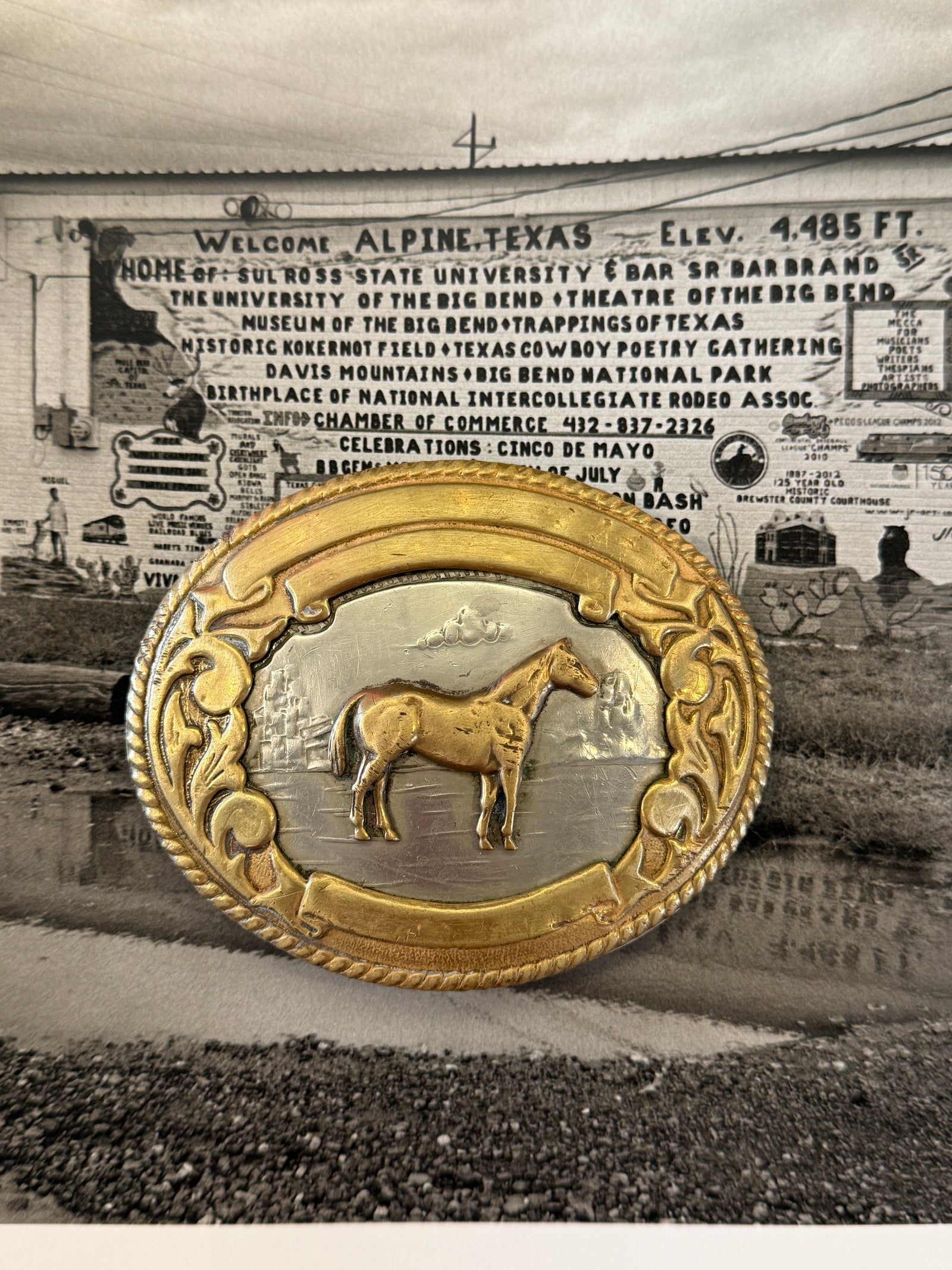 Horse Belt Buckle