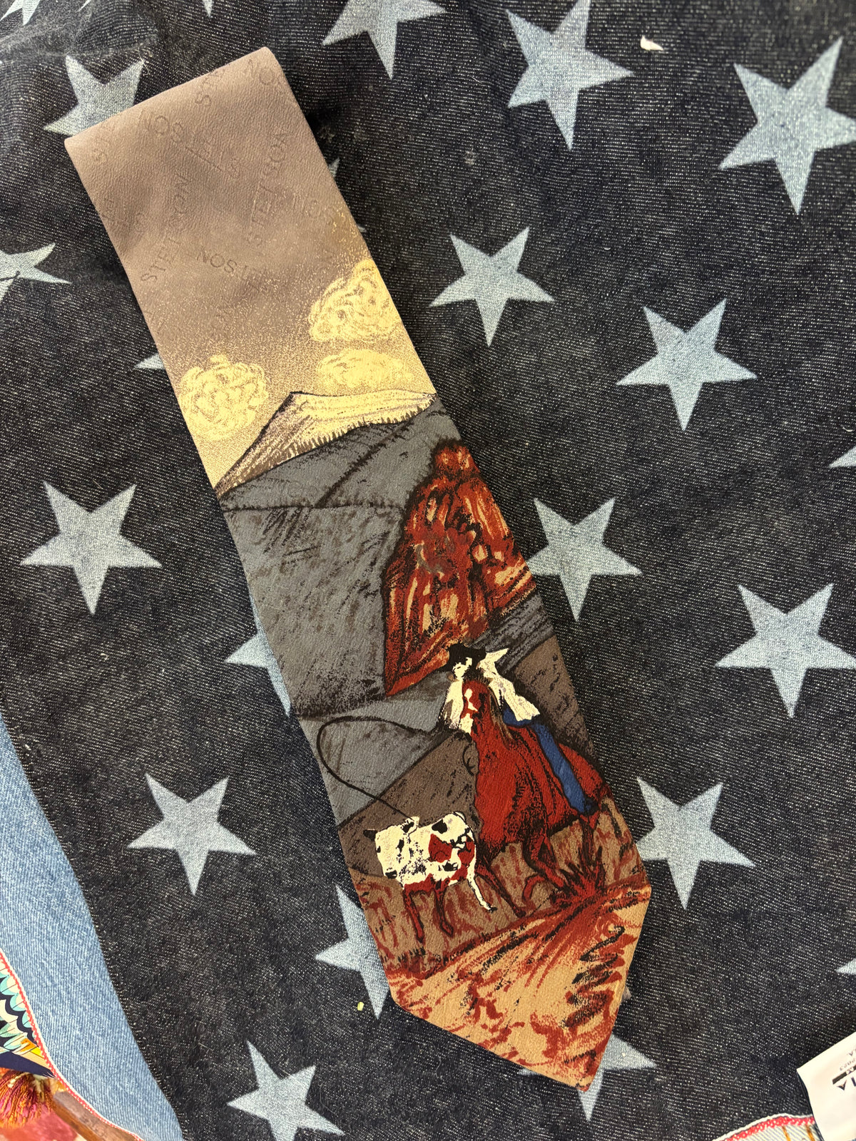 Stetson Western Tie