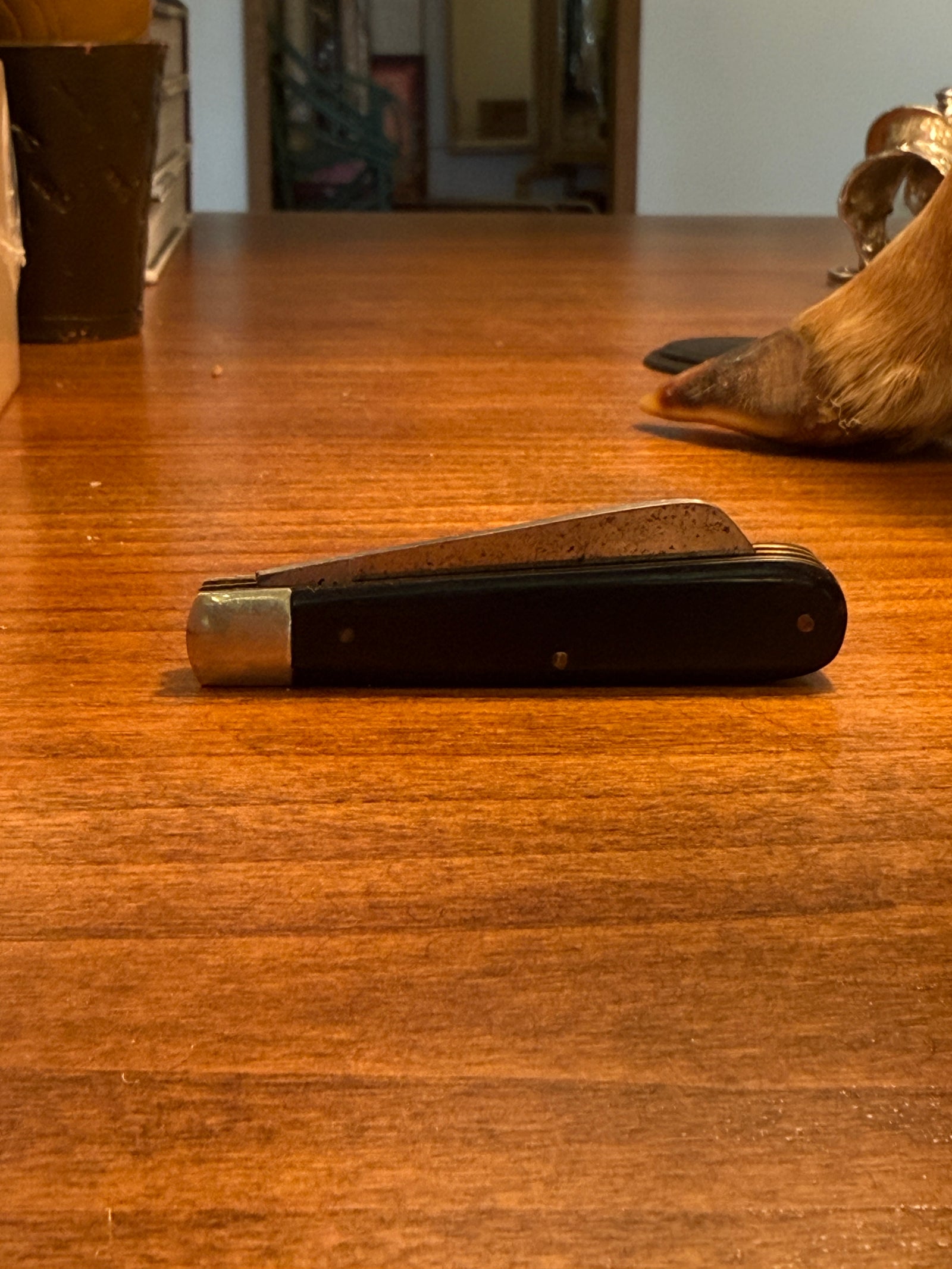 Pocket Knife