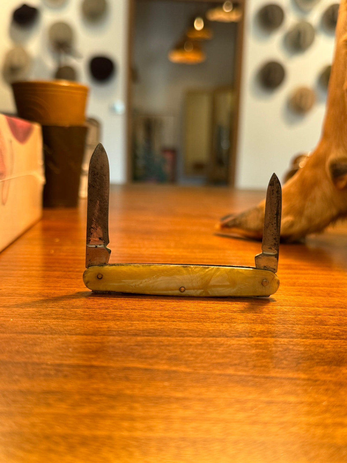 Pocket Knife