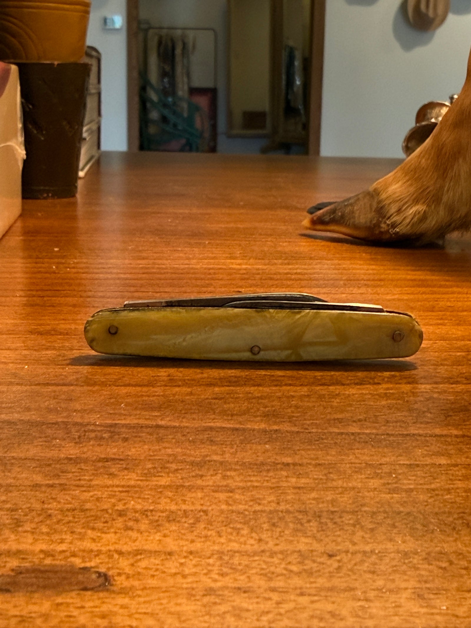 Pocket Knife