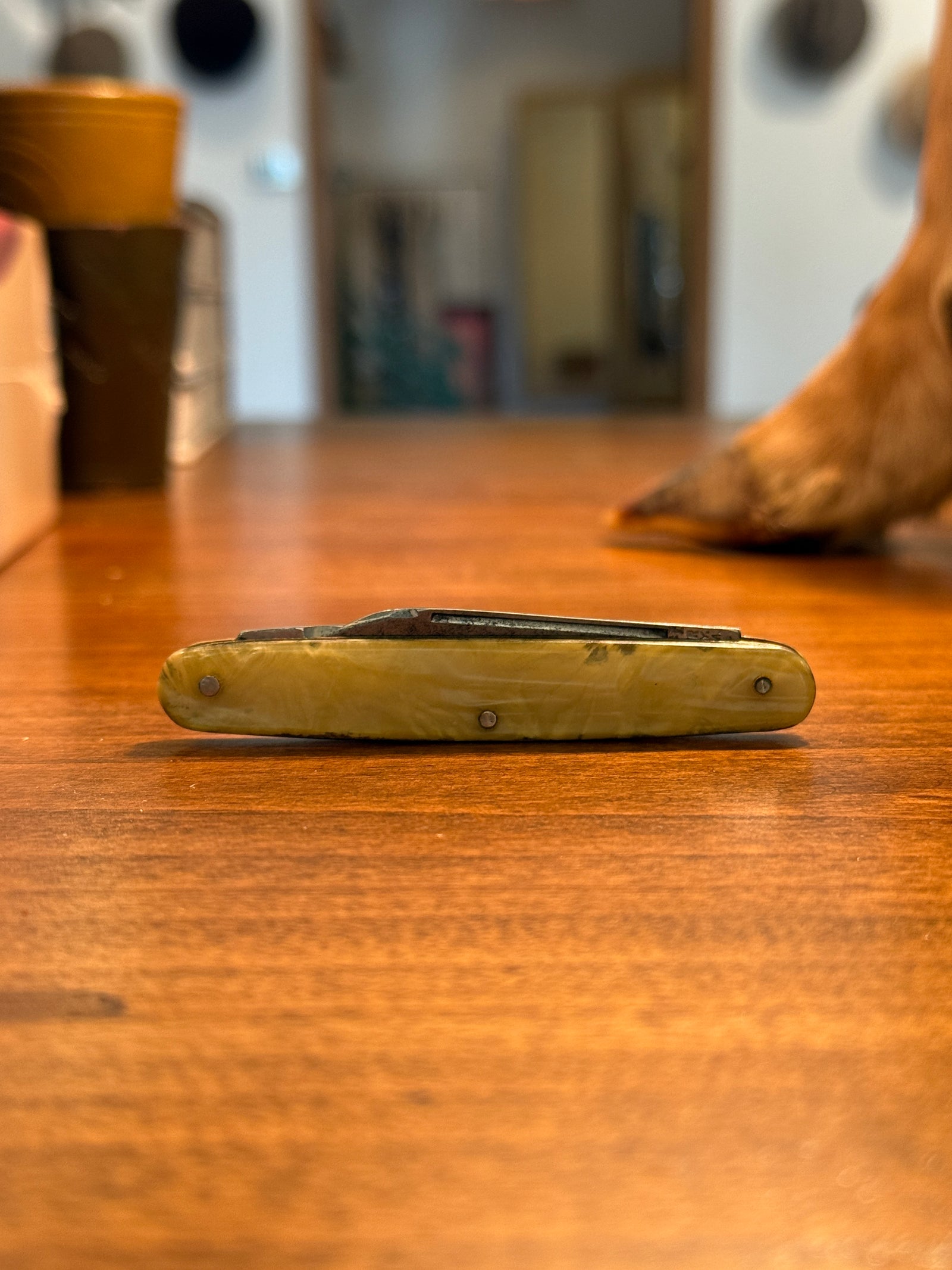 Pocket Knife